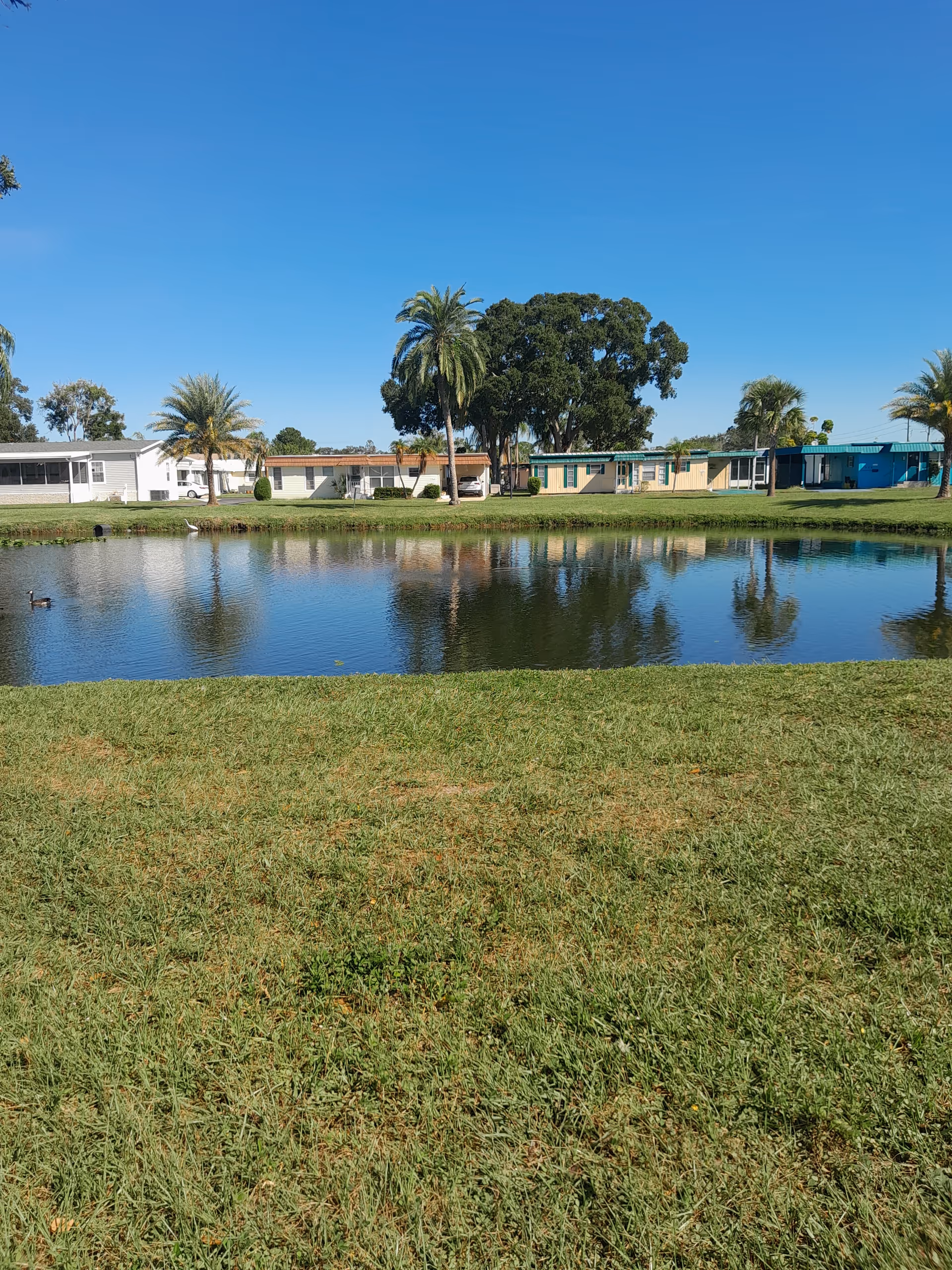 Pond with grassy bank and pastel single-story homes along the water.