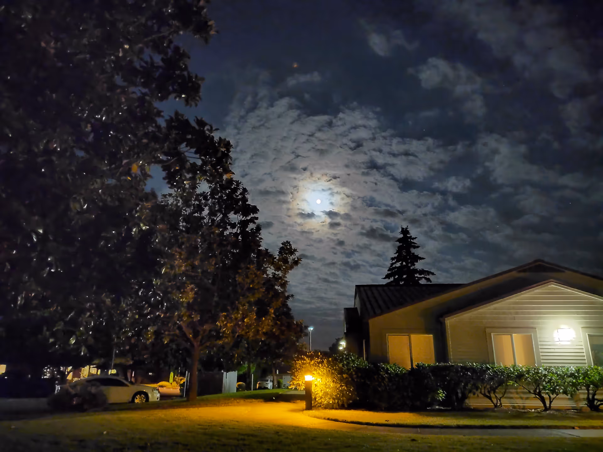 Night exterior of Elliott Residence front with trees, shrubs, and a lit entrance.