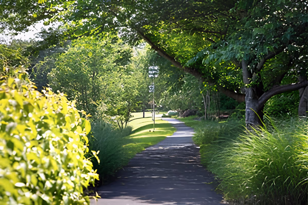 Shaded paved walkway winding through a lush garden with trees, shrubs, and grassy lawns.
