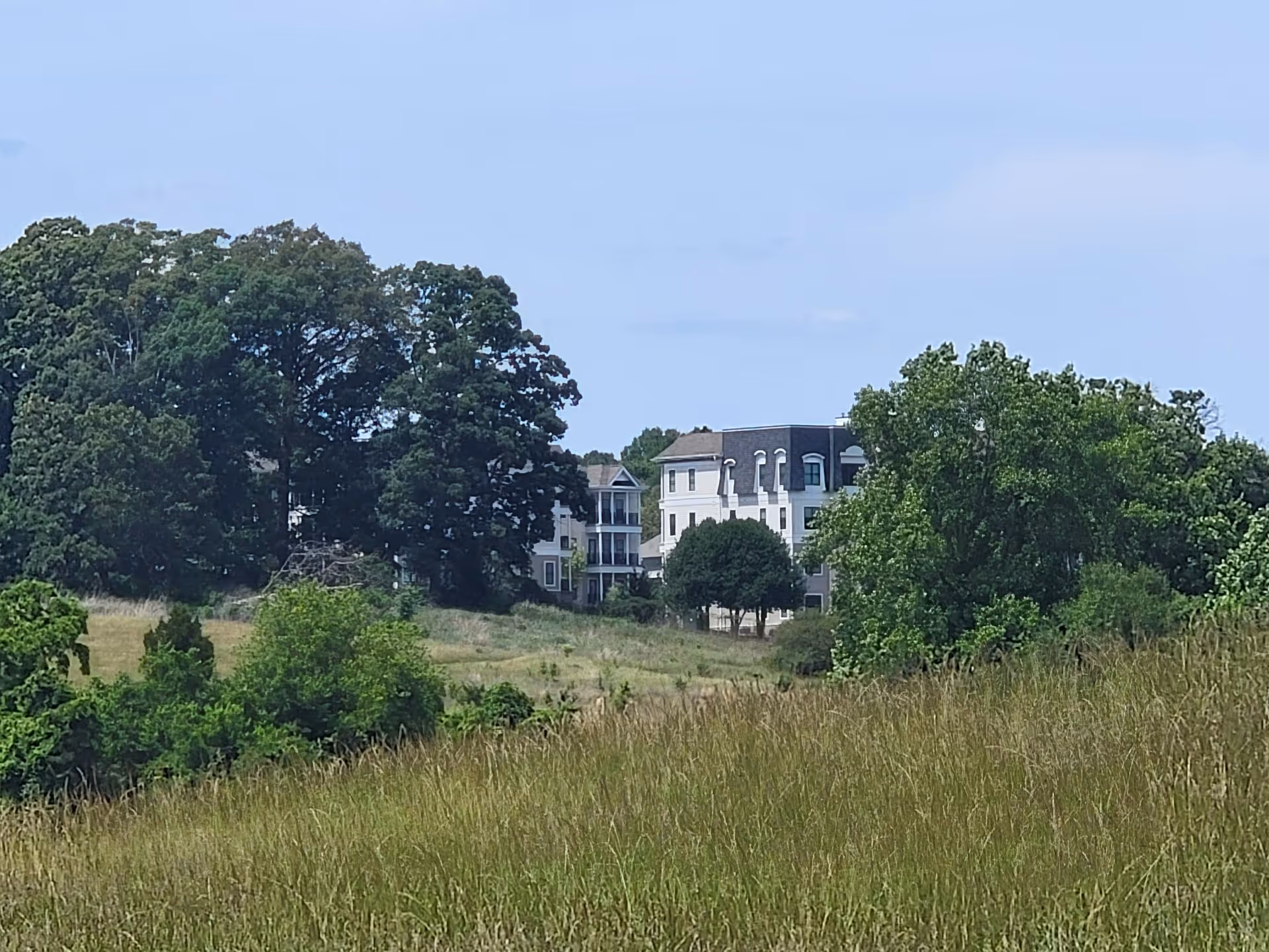 Wide exterior view of Strickland Place senior living building amid trees.