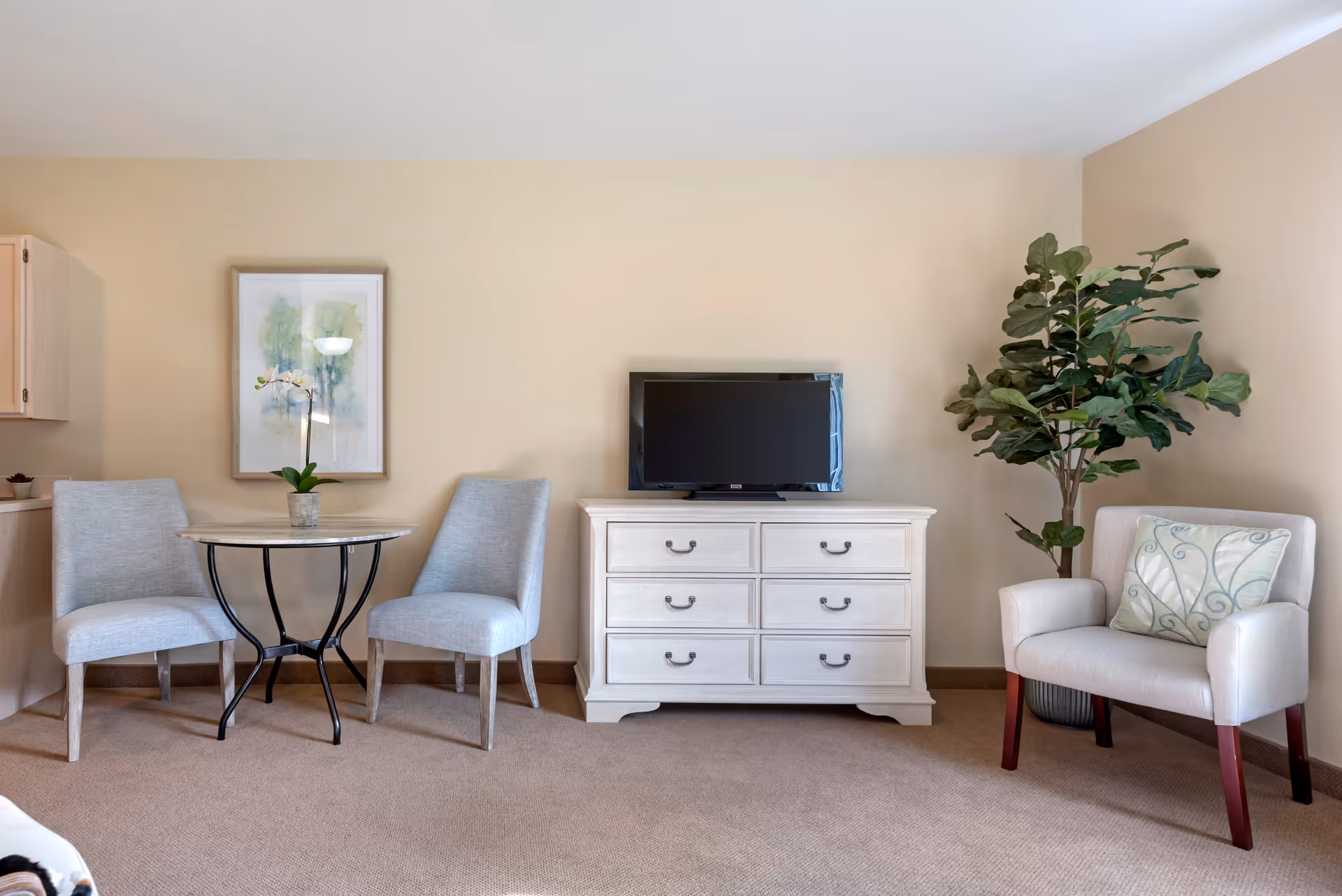Neutral living room with TV on a white dresser, chairs, and a tall plant.