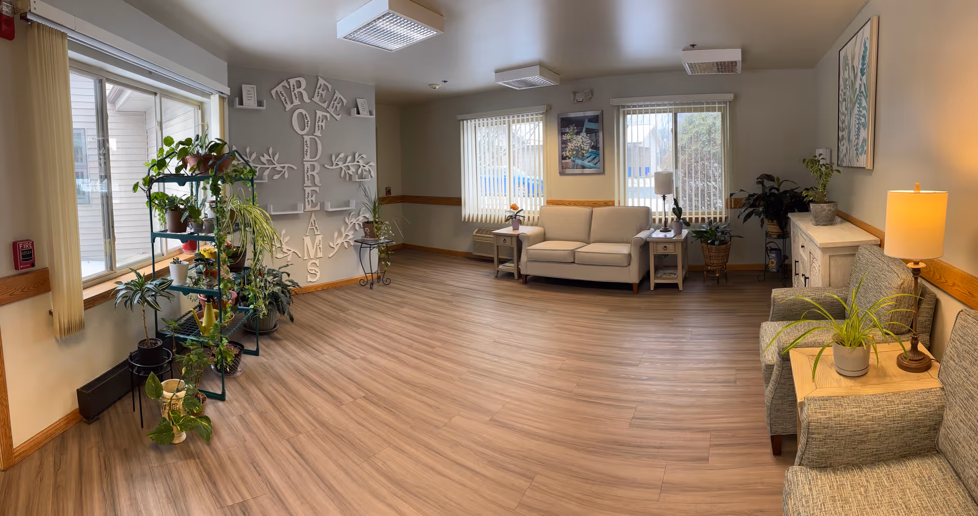Spacious living room lounge with sofa, plants, and windows.
