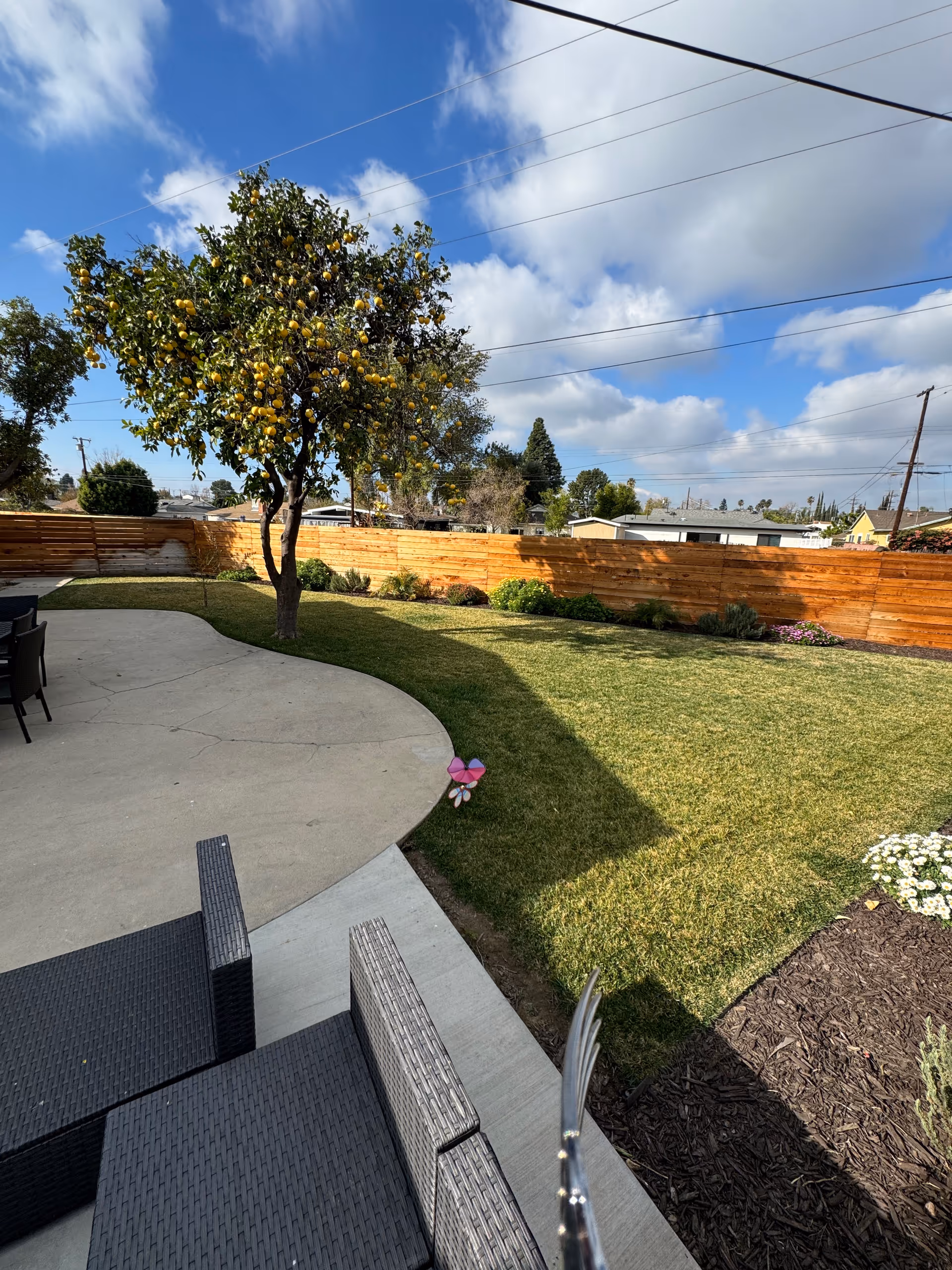 Outdoor backyard with patio furniture, lemon tree, and grassy lawn behind a wooden fence.