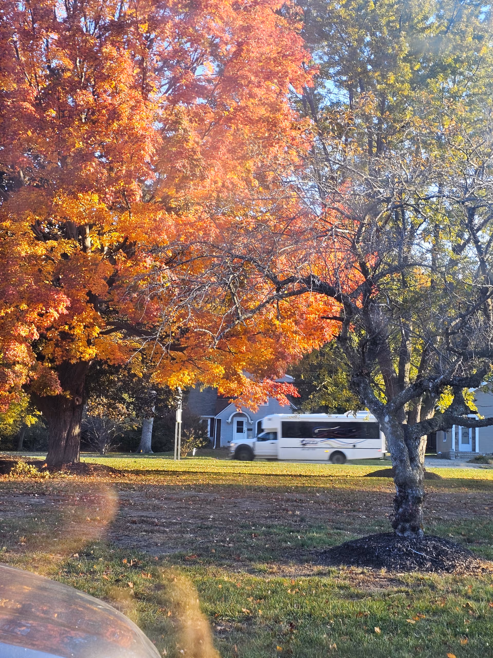 Autumn trees line a street with a passing bus and a building in the background.