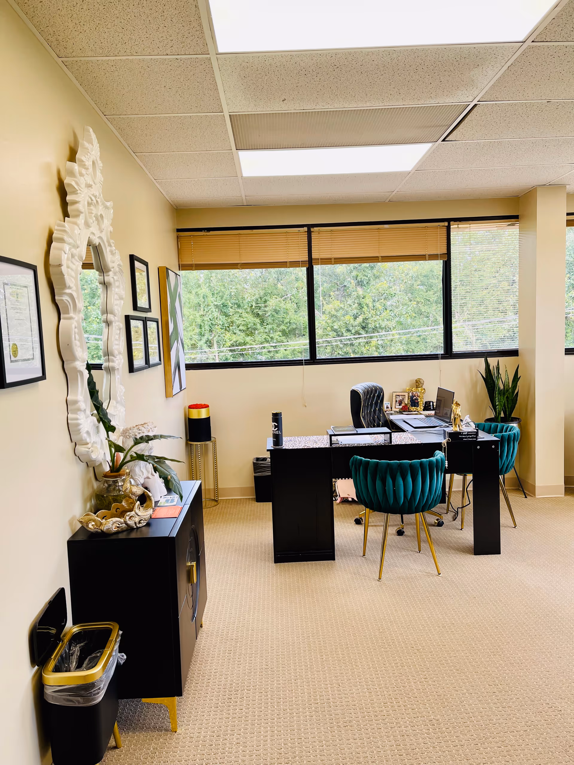 Office-like reception area with desk, teal chairs, plants, and a decorative wall mirror.
