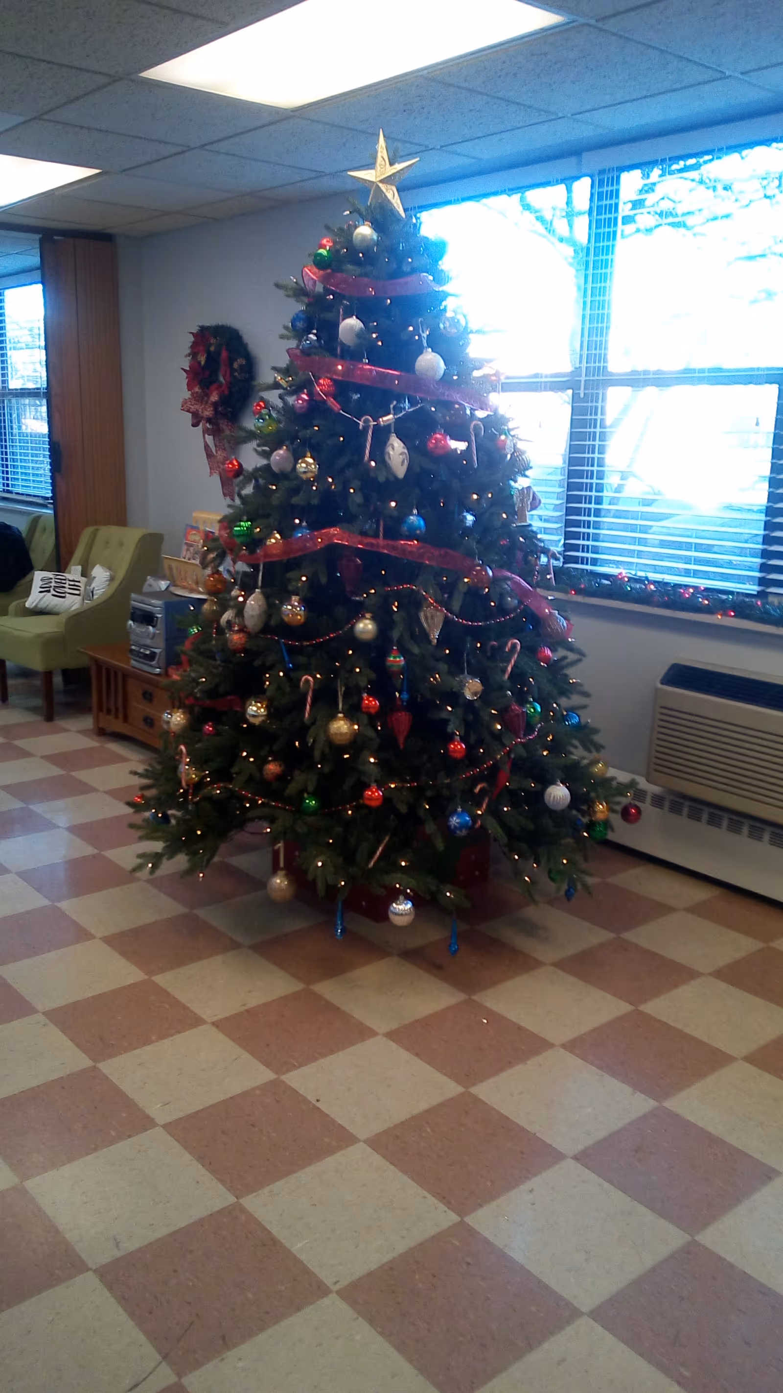 Decorated Christmas tree stands in a common living area with large windows.
