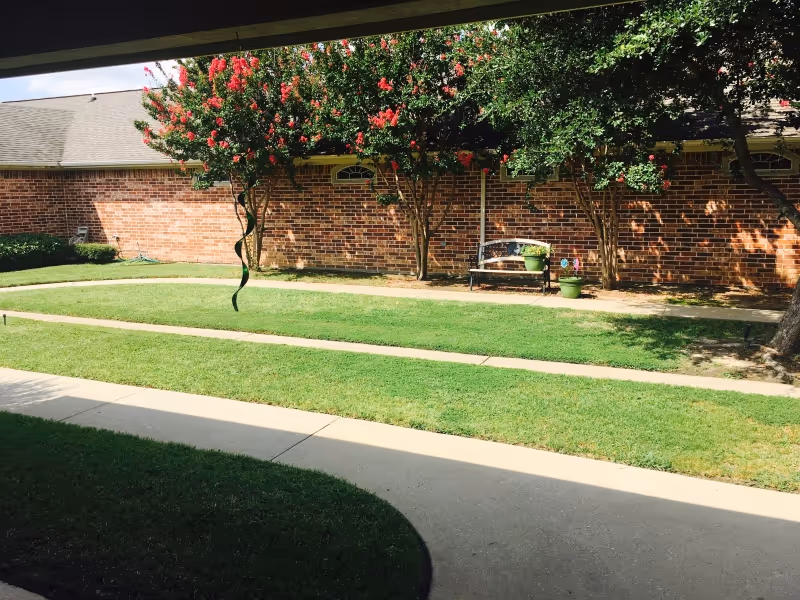 Outdoor courtyard area with green grass, a concrete walkway, and a brick building wall in the background. There are several trees with pink flowers and a bench with potted plants placed on the ground nearby.