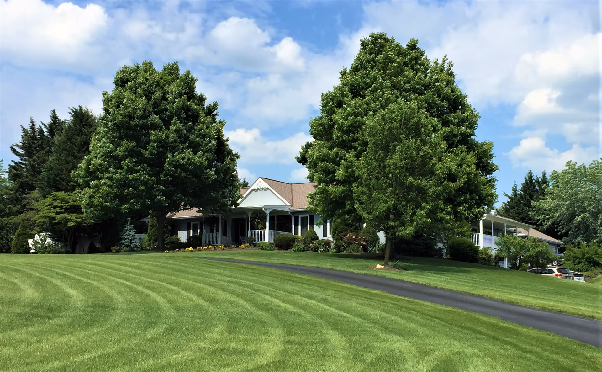 Residential-style building front with expansive lawn, tall trees, and a curved driveway.