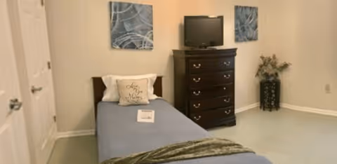 A simple bedroom with a single bed covered in a blue blanket, a chest of drawers with a TV on top, two abstract wall paintings, and a potted plant in the corner.