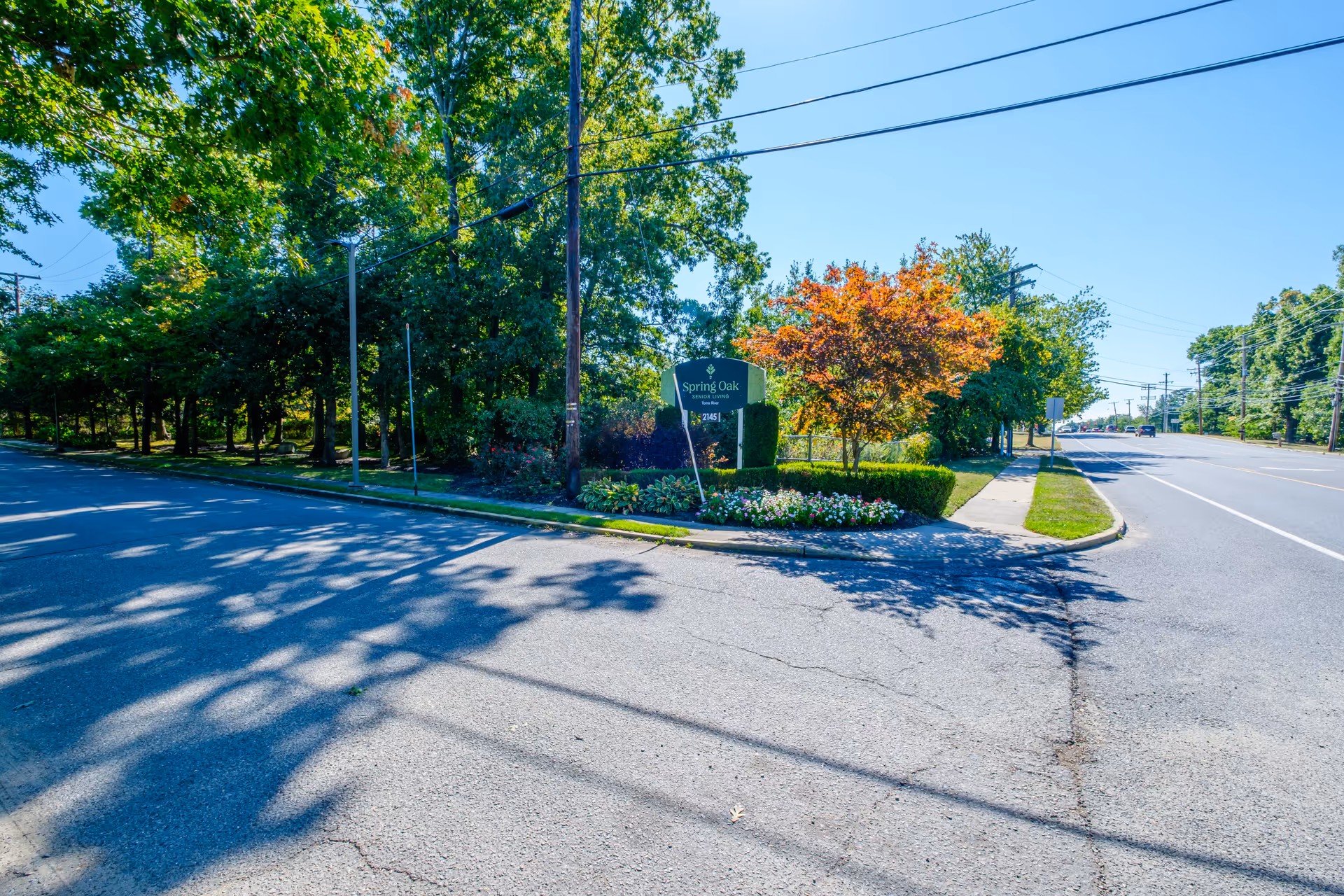 Street view of the landscaped entrance sign for Spring Oak at Toms River beside a tree-lined road.