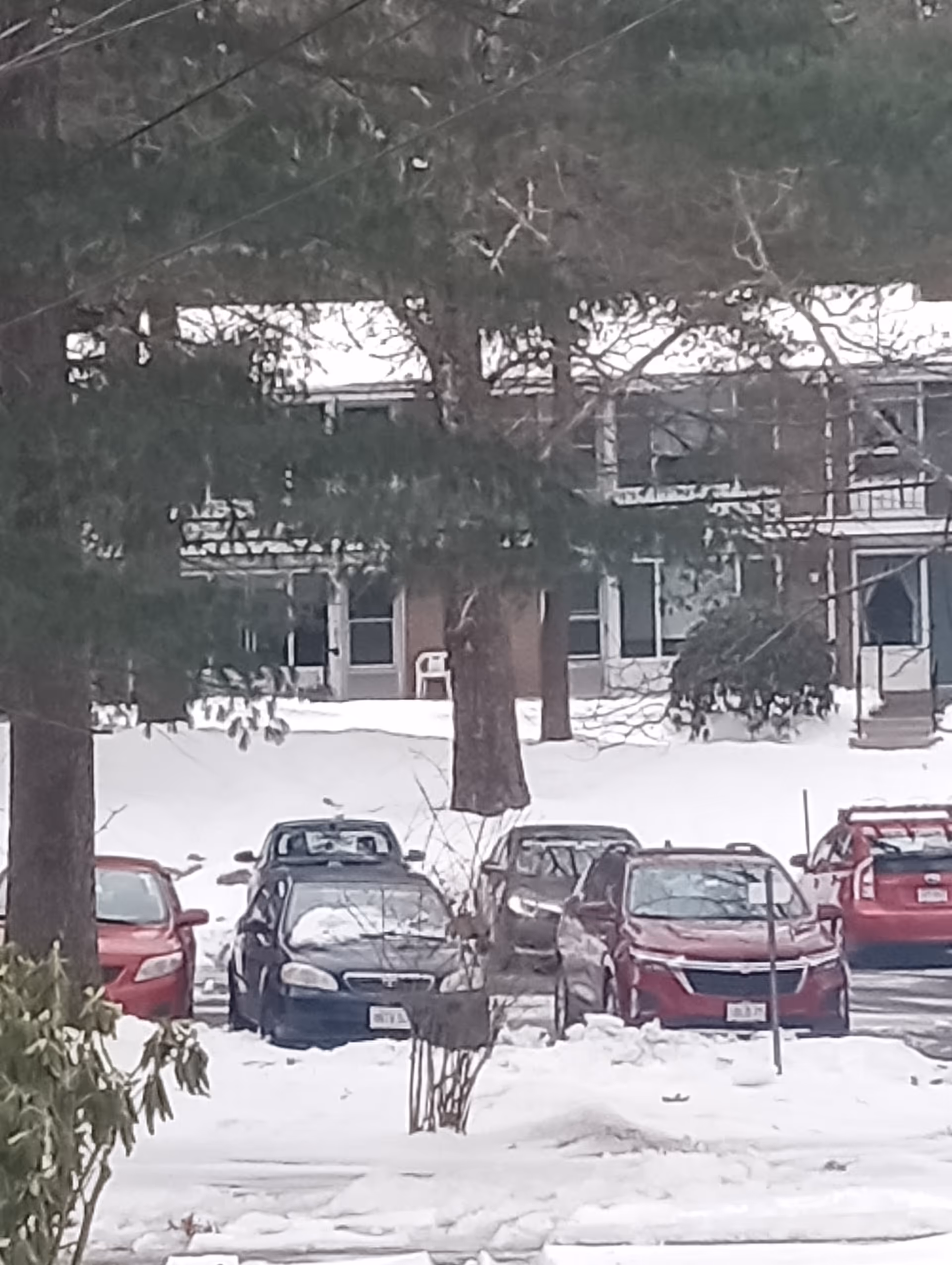 Snow-covered parking lot in front of a residential building with trees and cars.
