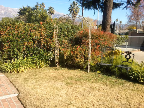 A small outdoor garden area with a metal archway, green bushes, and two decorative metal chairs on a grassy lawn. There are trees and a fence in the background with a clear blue sky above.