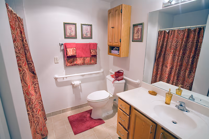Well-lit bathroom with a toilet, sink vanity and large mirror, wooden cabinets, patterned shower curtain, and red towels and rug.