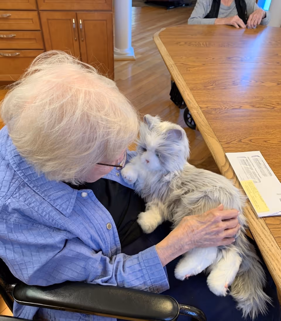 An elderly woman sitting at a wooden table cradling a fluffy gray-and-white cat on her lap.
