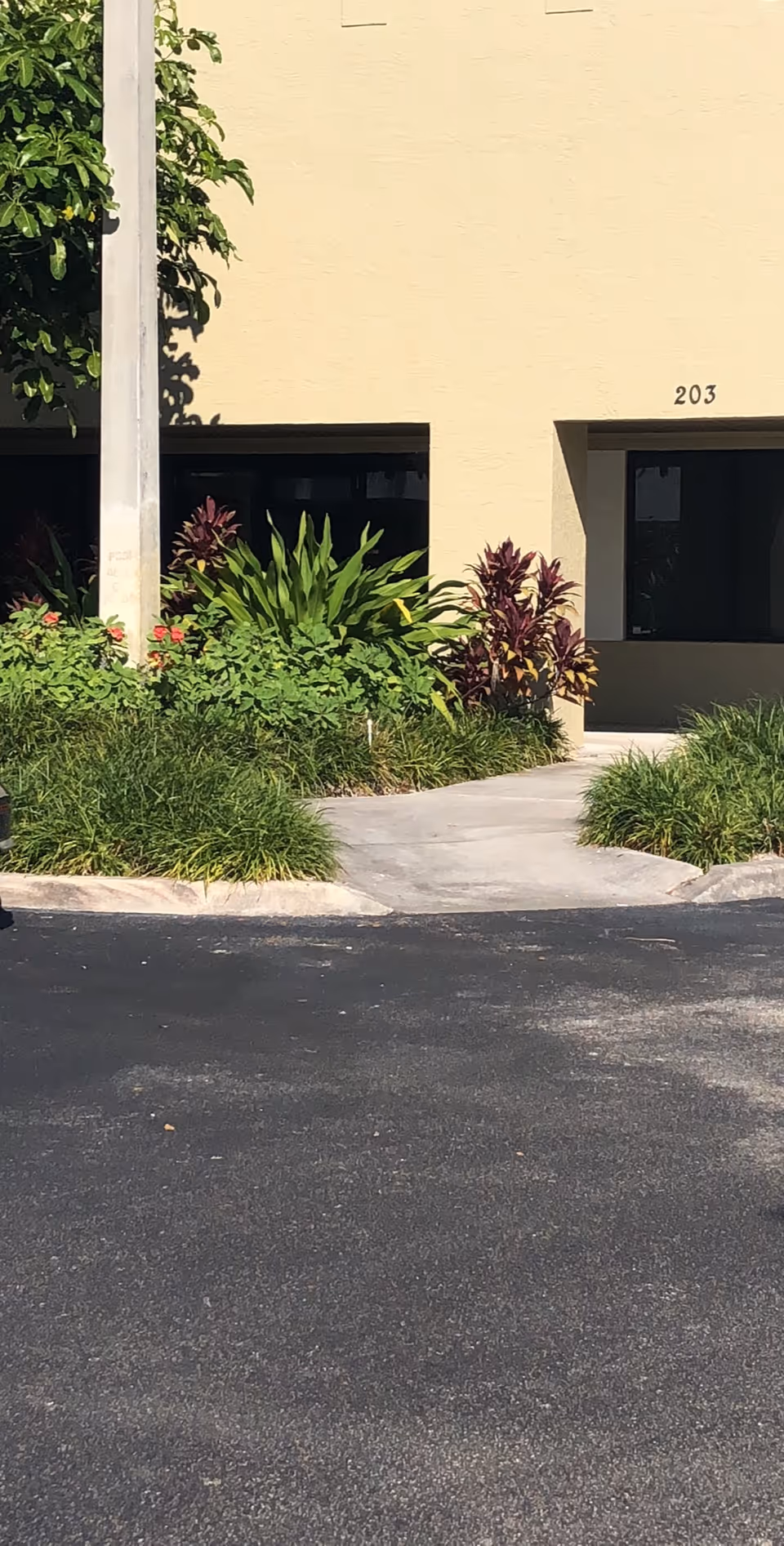 Exterior view of a beige building entrance with unit 203 and landscaping.