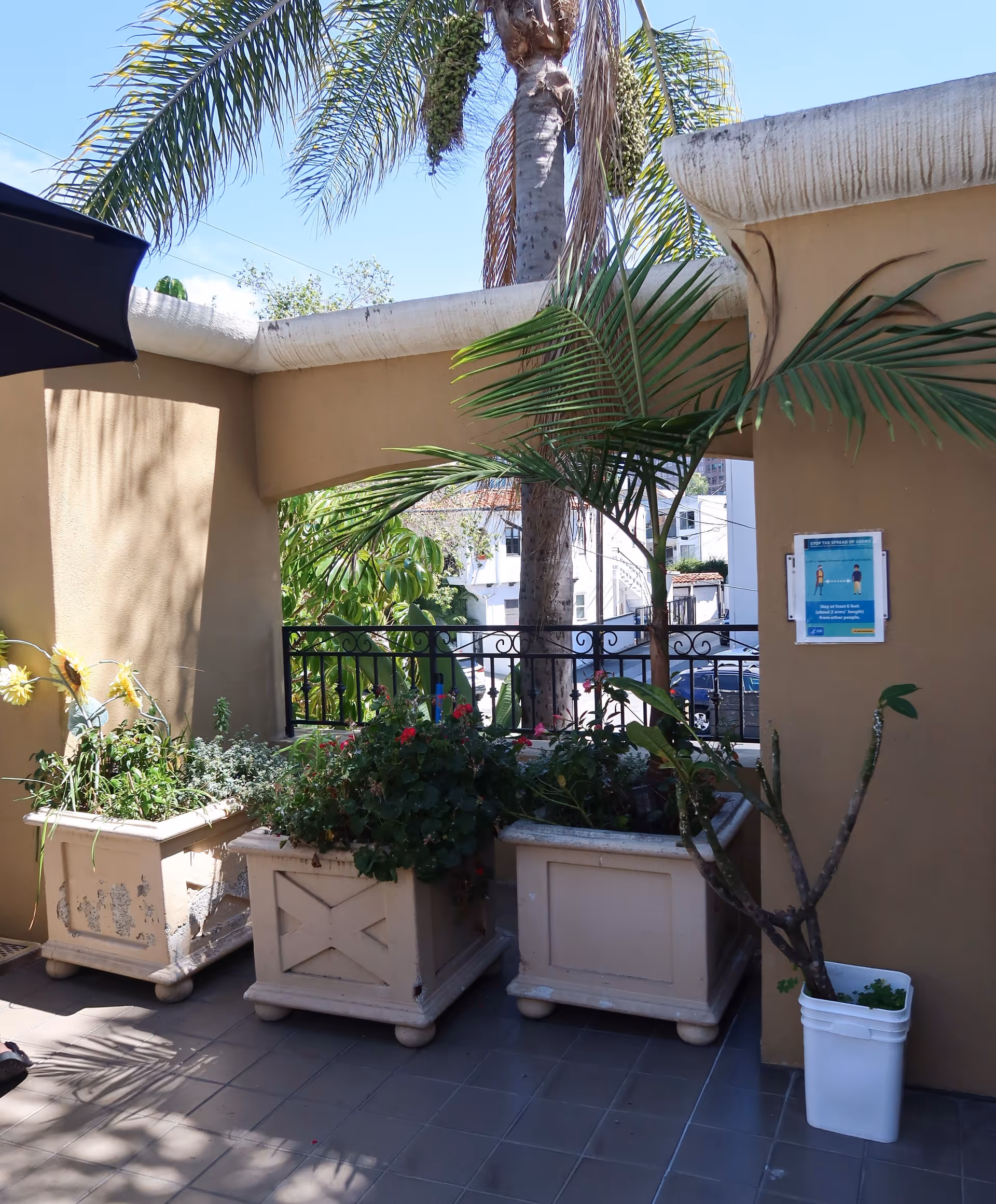 Outdoor terrace with beige walls, large planters, palm trees, and a decorative railing.