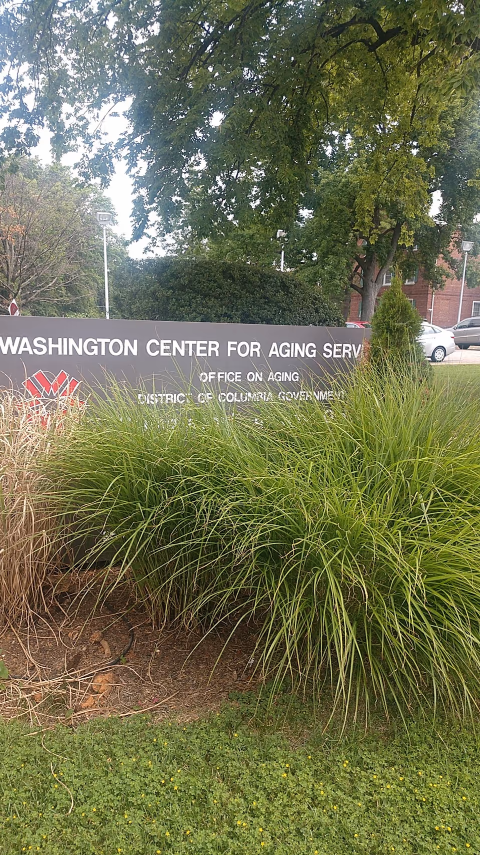 Outdoor sign reads Washington Center for Aging Serv with tall grasses and trees.