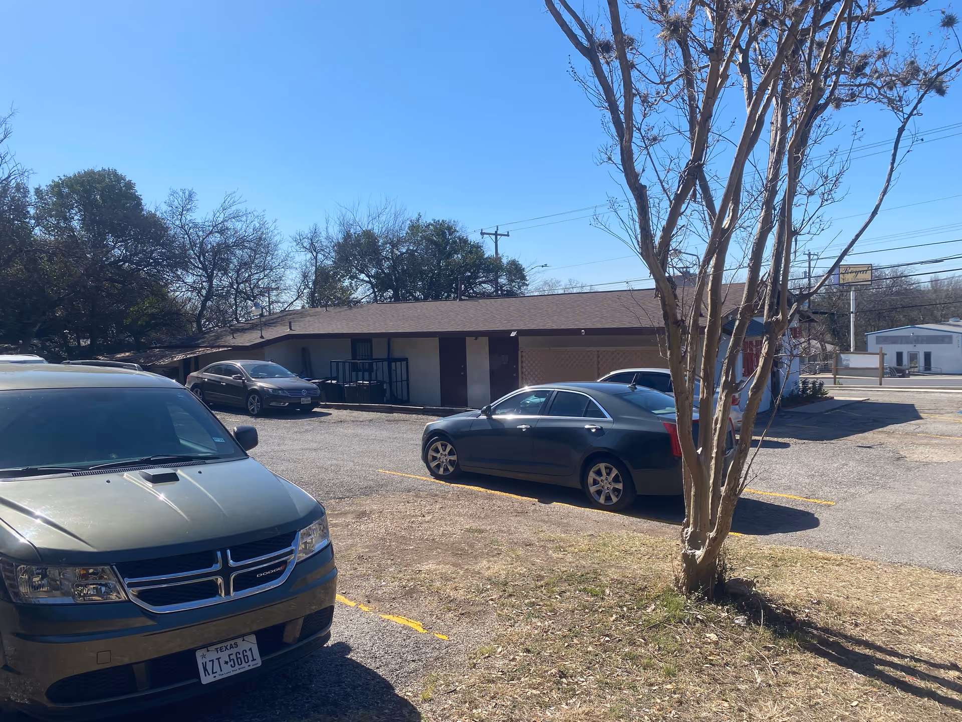 Single-story facility with cars parked outside and a tree nearby.