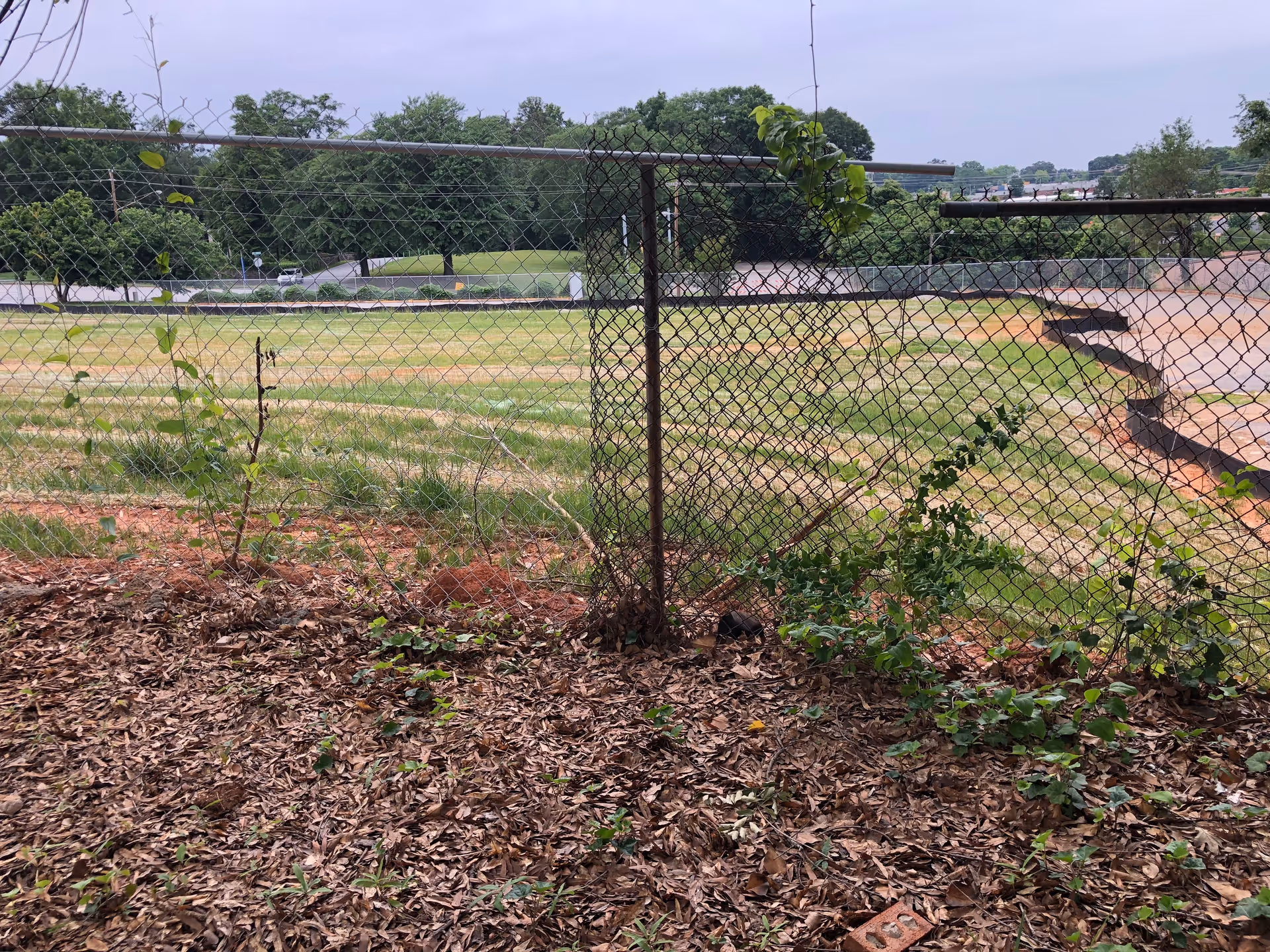 Chain-link fence with overgrown plants and a grassy field beyond.