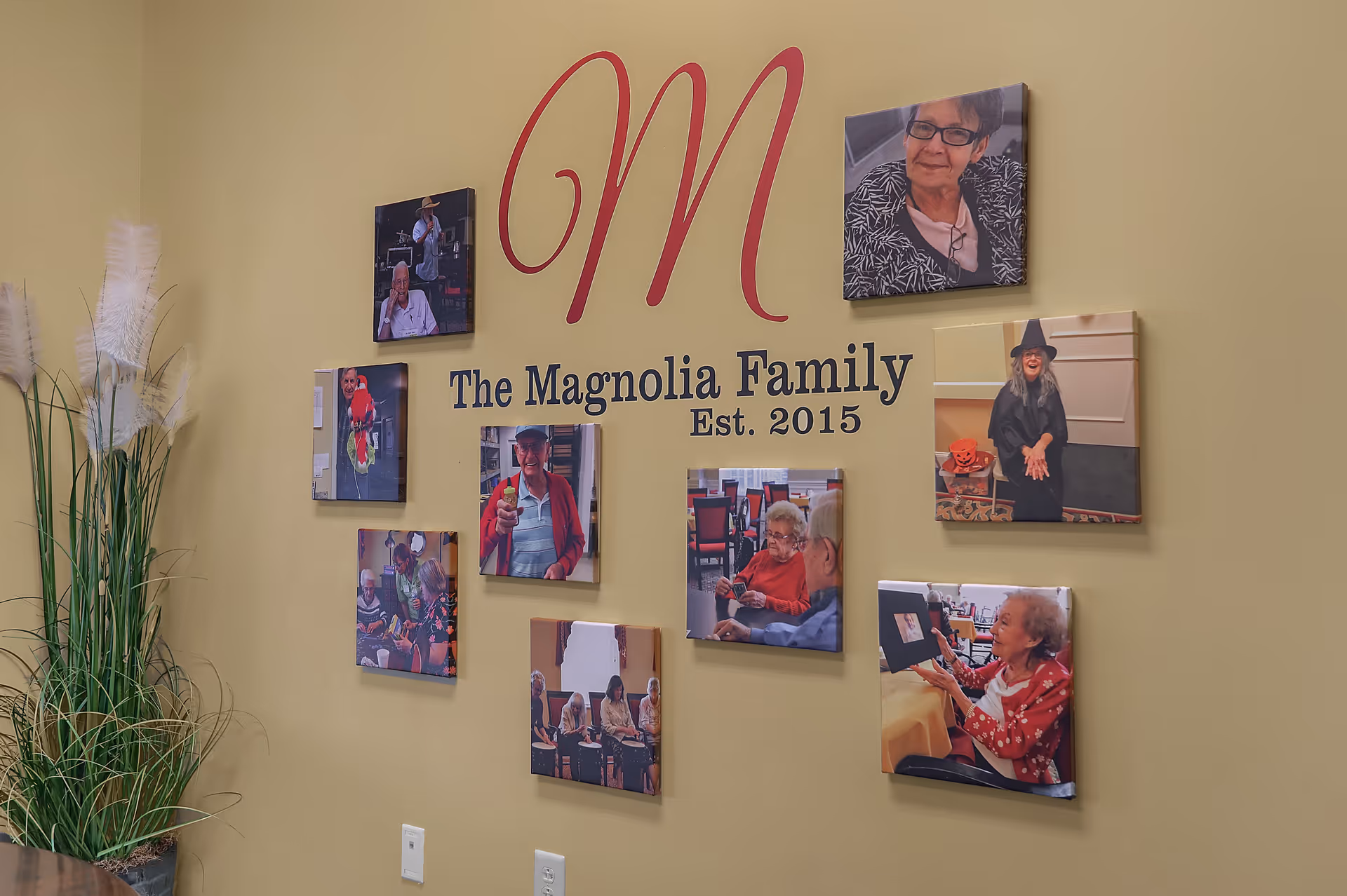 A beige wall decorated with a large red letter 'M' and the text 'The Magnolia Family Est. 2015' surrounded by nine framed photos of elderly residents engaged in various activities. To the left of the wall is a tall plant with white feathery plumes in a pot.