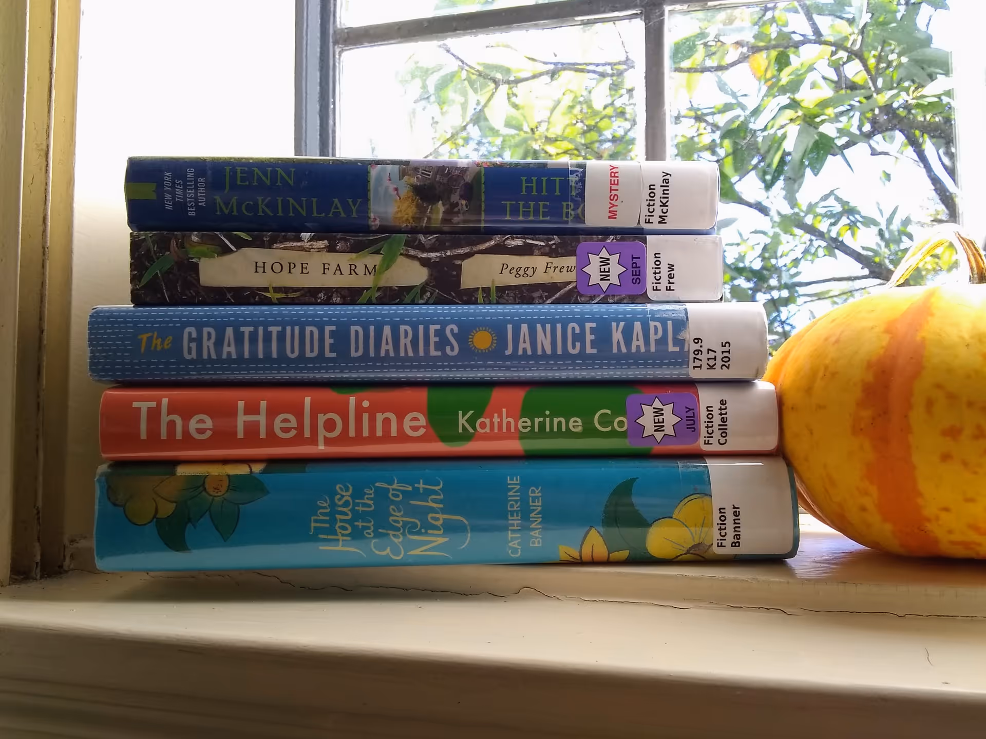 A stack of colorful novels sits on a windowsill beside a bright orange pumpkin.