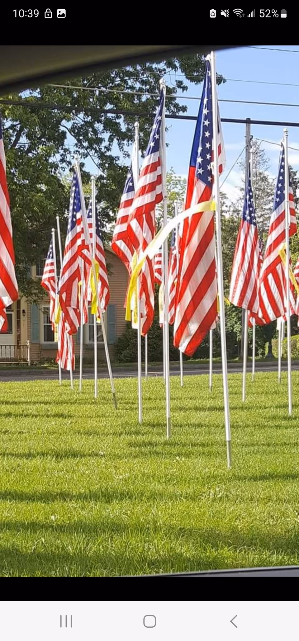 Row of American flags on poles in front of a building with a green lawn