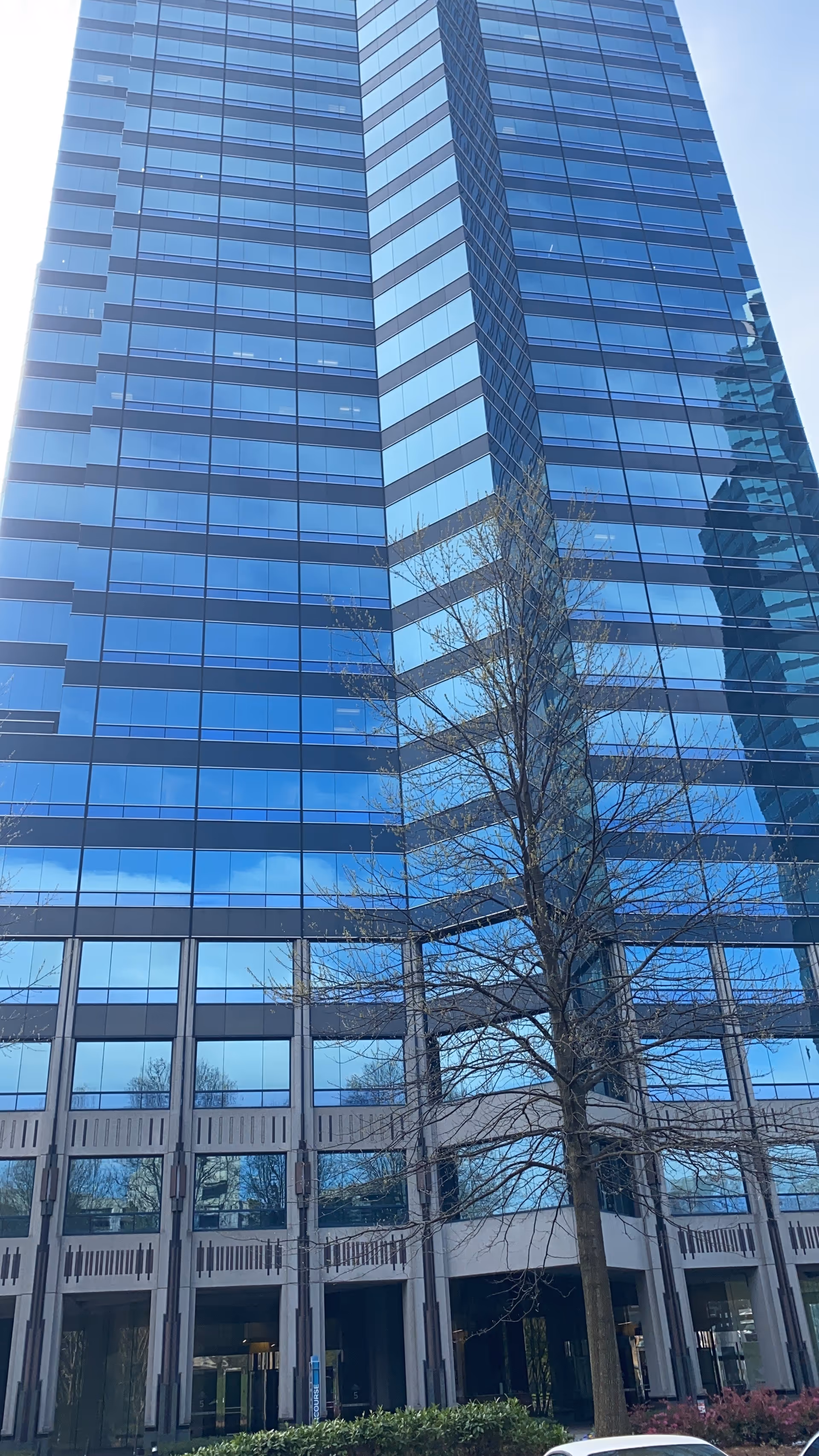 Tall glass-clad high-rise building with a leafless tree in the foreground and blue reflections.