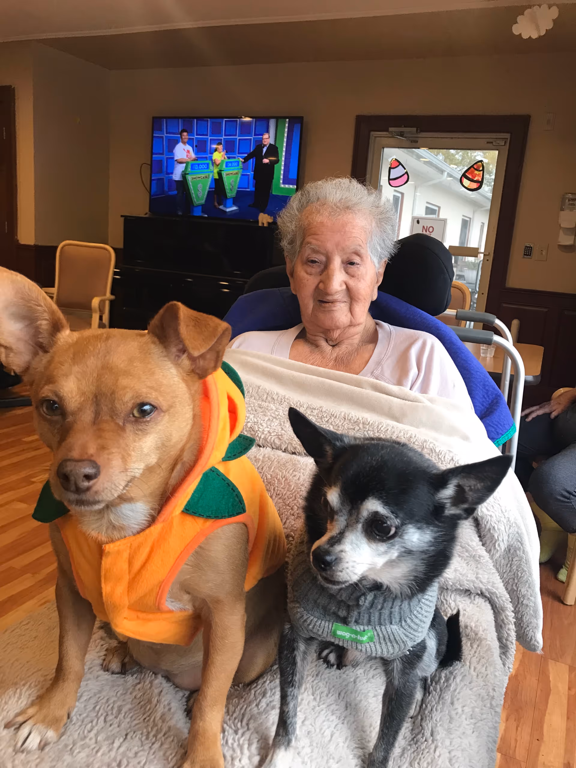 Elderly resident in a living room with two small dogs wearing colorful outfits.