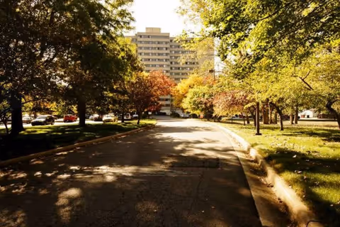 Tree-lined driveway curves toward a multi-story building, with autumn foliage on both sides.