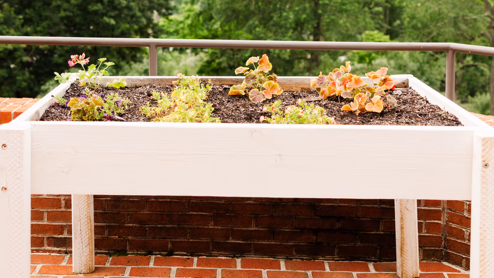 White rectangular planter with blooming plants on a brick balcony, railing, and green trees in background.