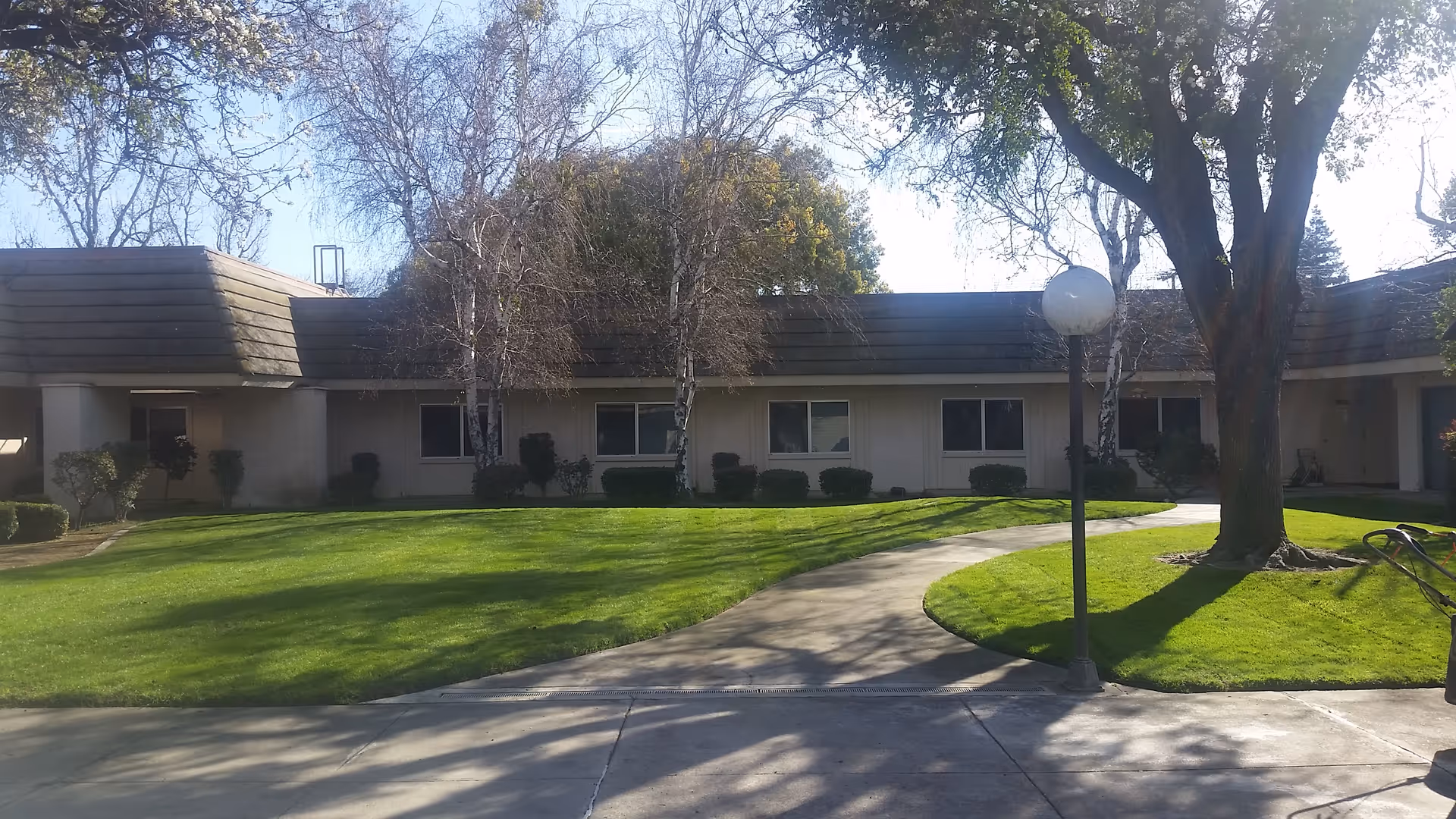 Single-story senior living building with a green lawn, curved walkway, and trees.