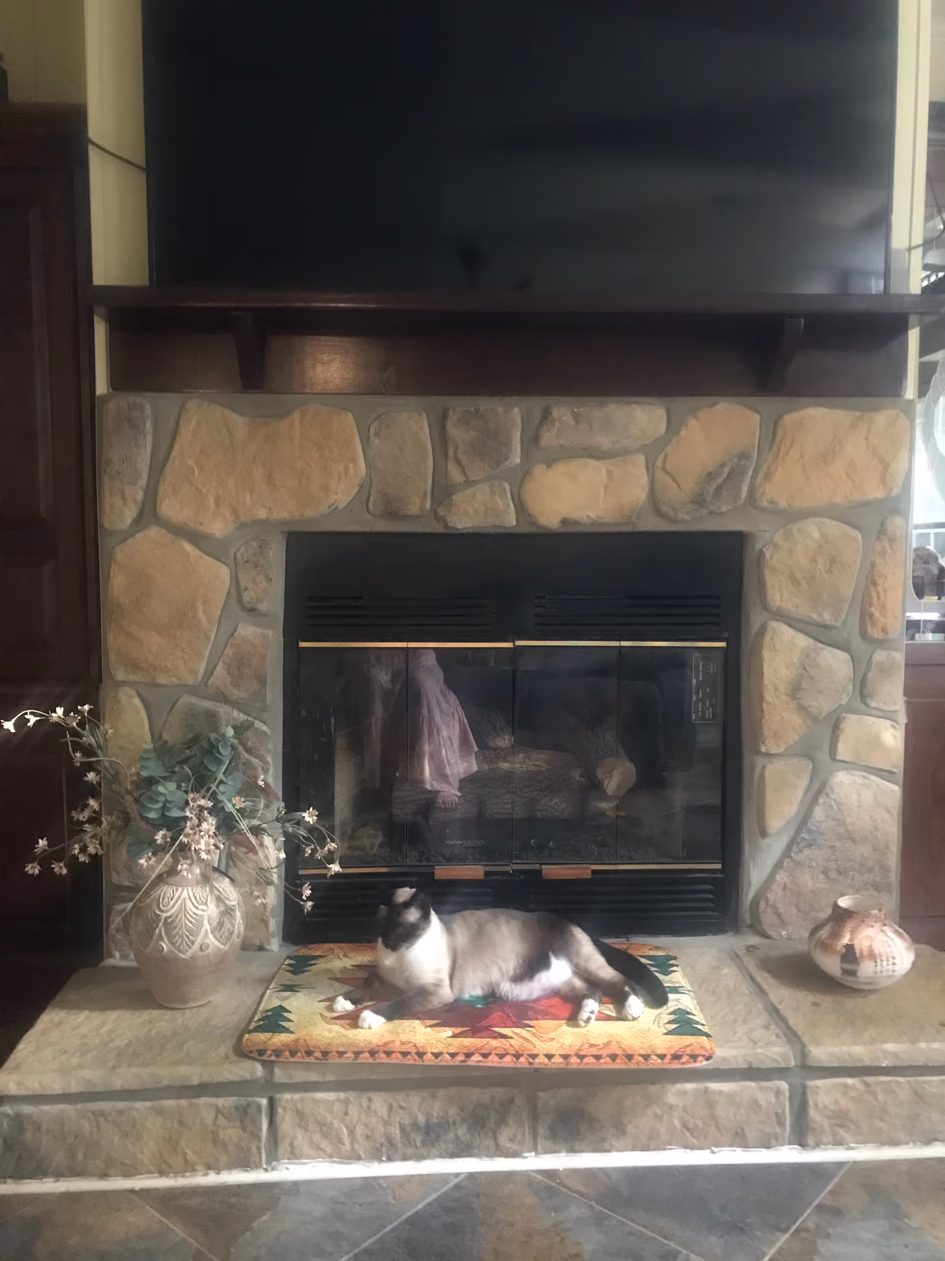 Cat lounging on a colorful rug before a stone fireplace under a mounted TV.