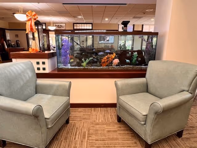 Two light green armchairs facing each other with a large fish tank filled with colorful decorations and fish in the background, situated in a well-lit room with carpeted floor and ceiling lights.
