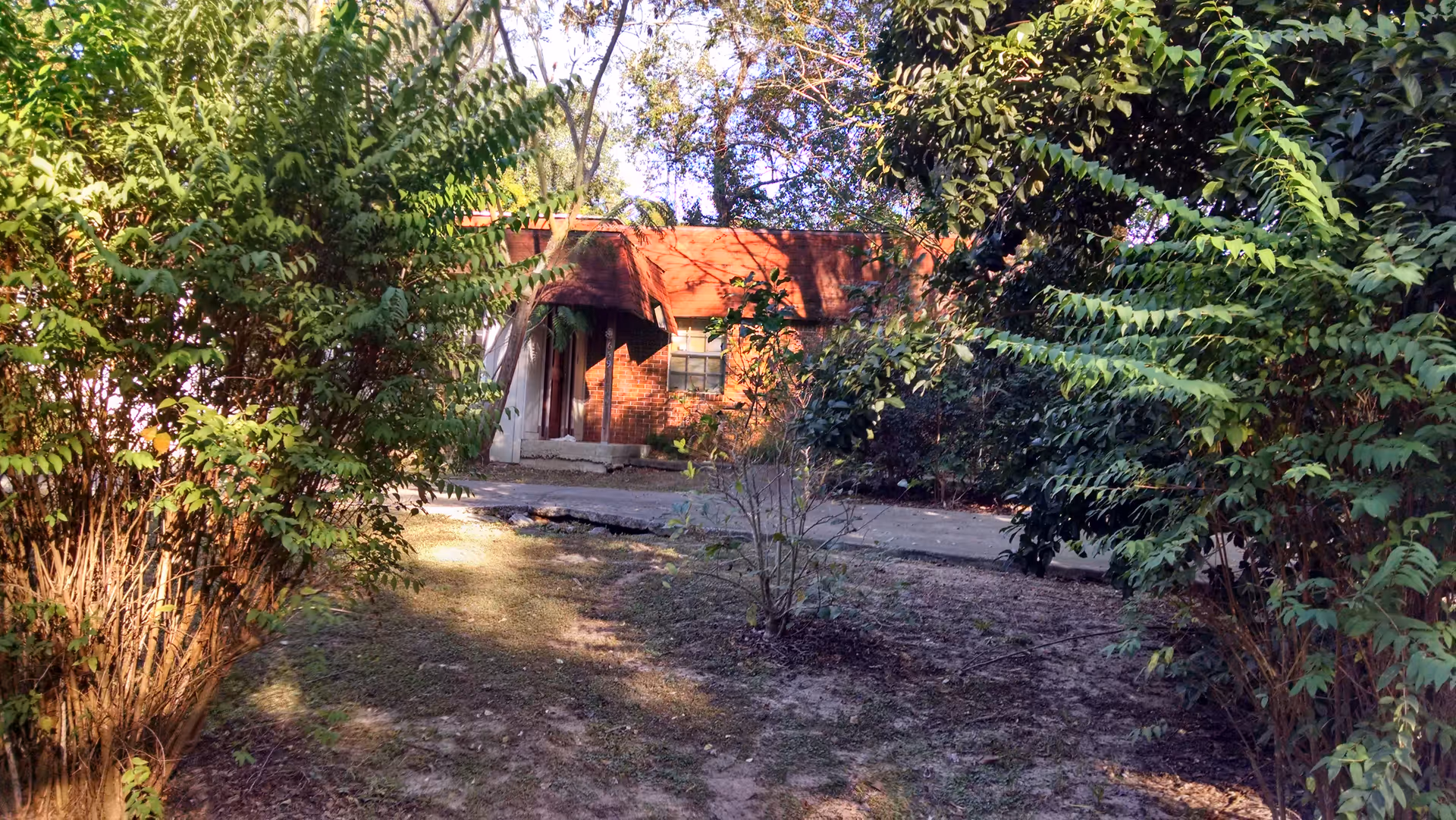 Overgrown shrubs frame a brick facility exterior with a path leading to an entrance.