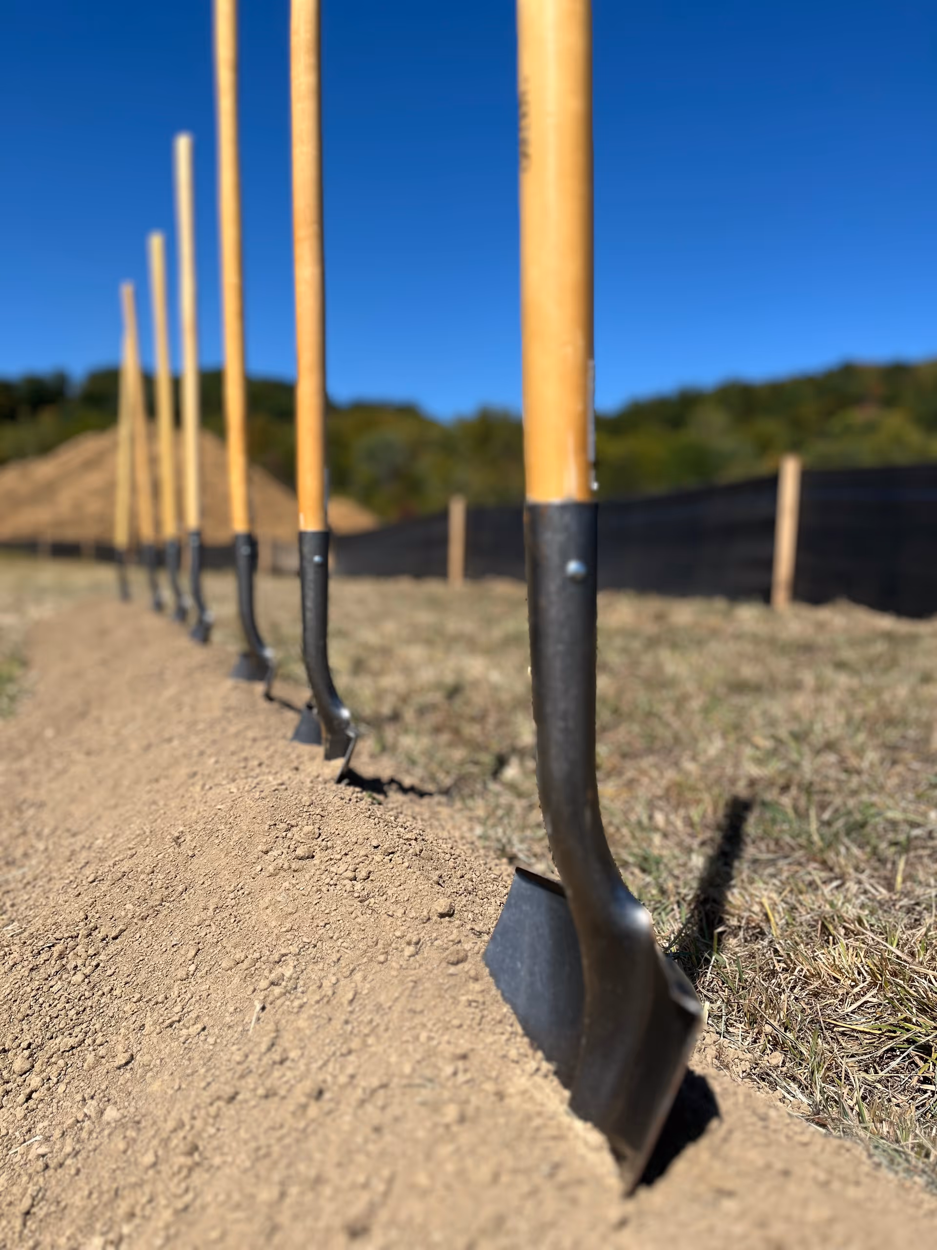 Row of wooden-handled shovels stuck into dirt on a construction site.