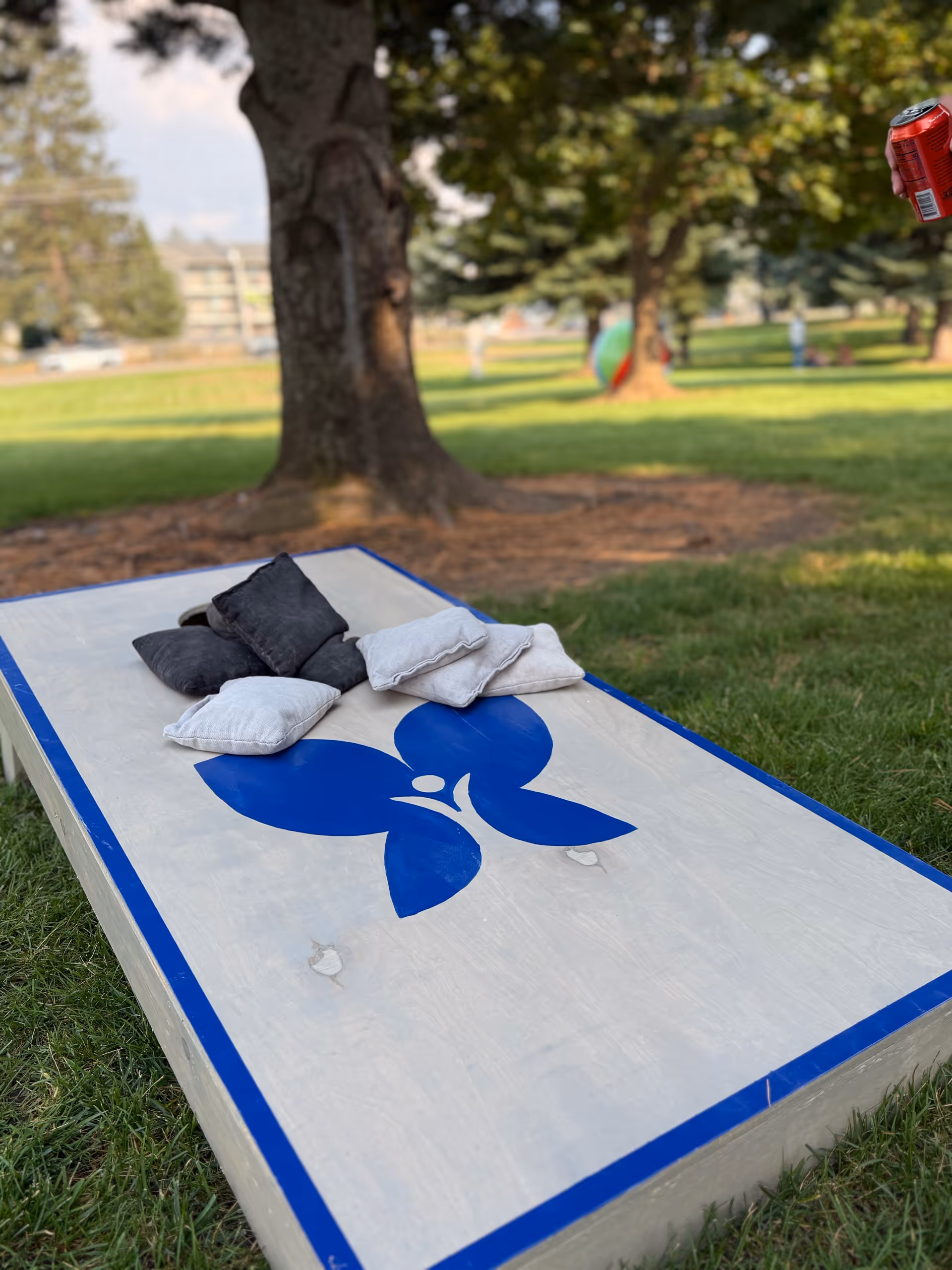 Outdoor park lawn with a cornhole board and cushions on the grass.