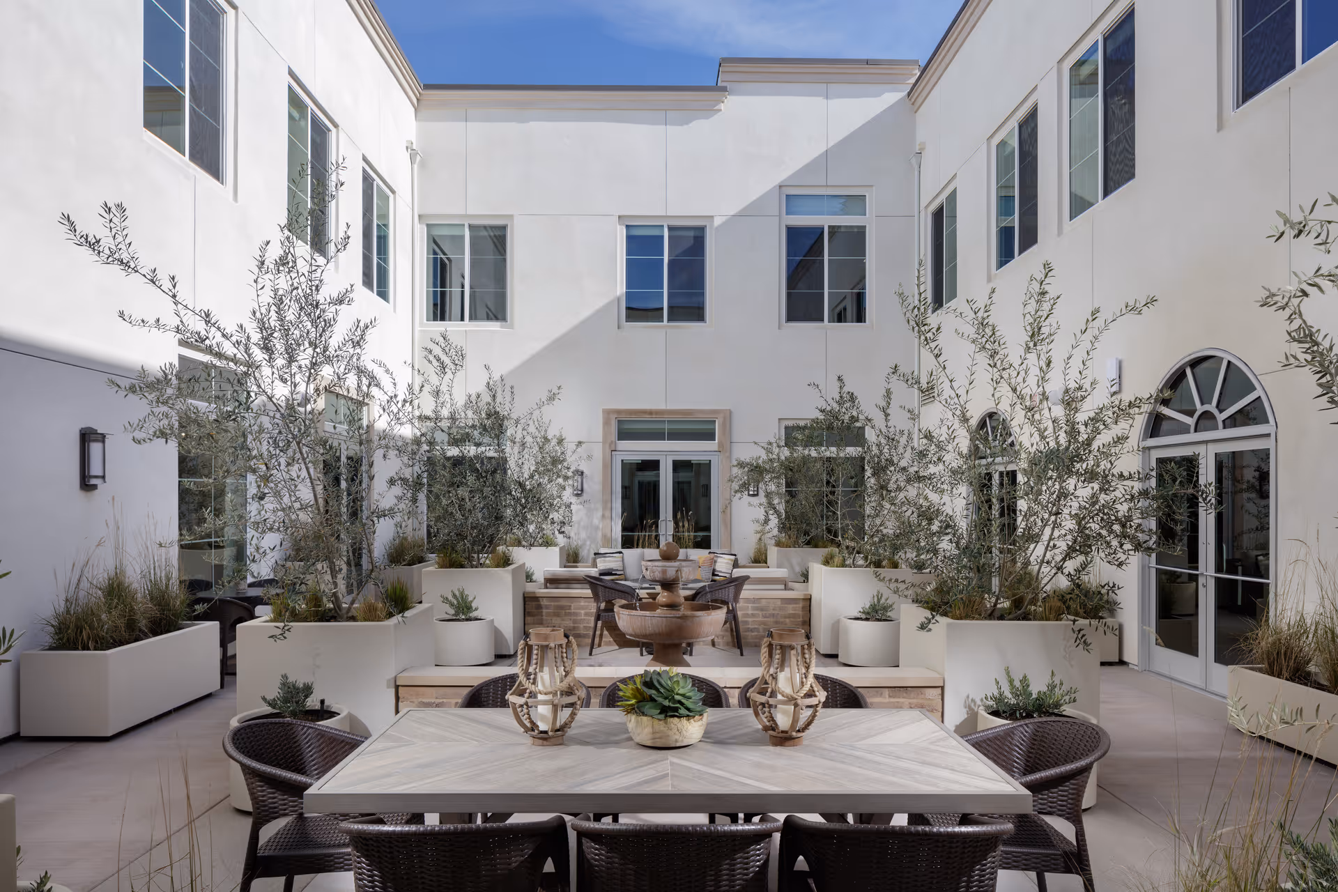 Sunny white courtyard with planters, olive trees, and outdoor dining furniture.