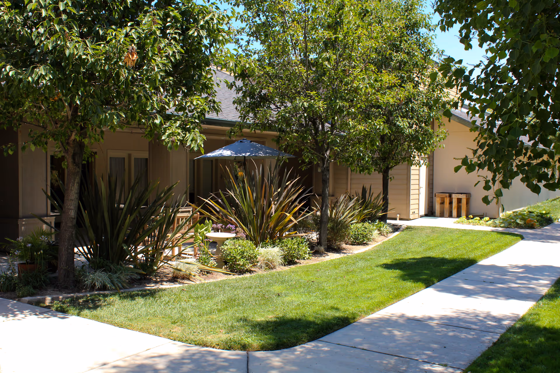 Sunlit courtyard with a paved walkway, green lawn, trees, landscaped plant beds and a patio umbrella in front of a single-story building.