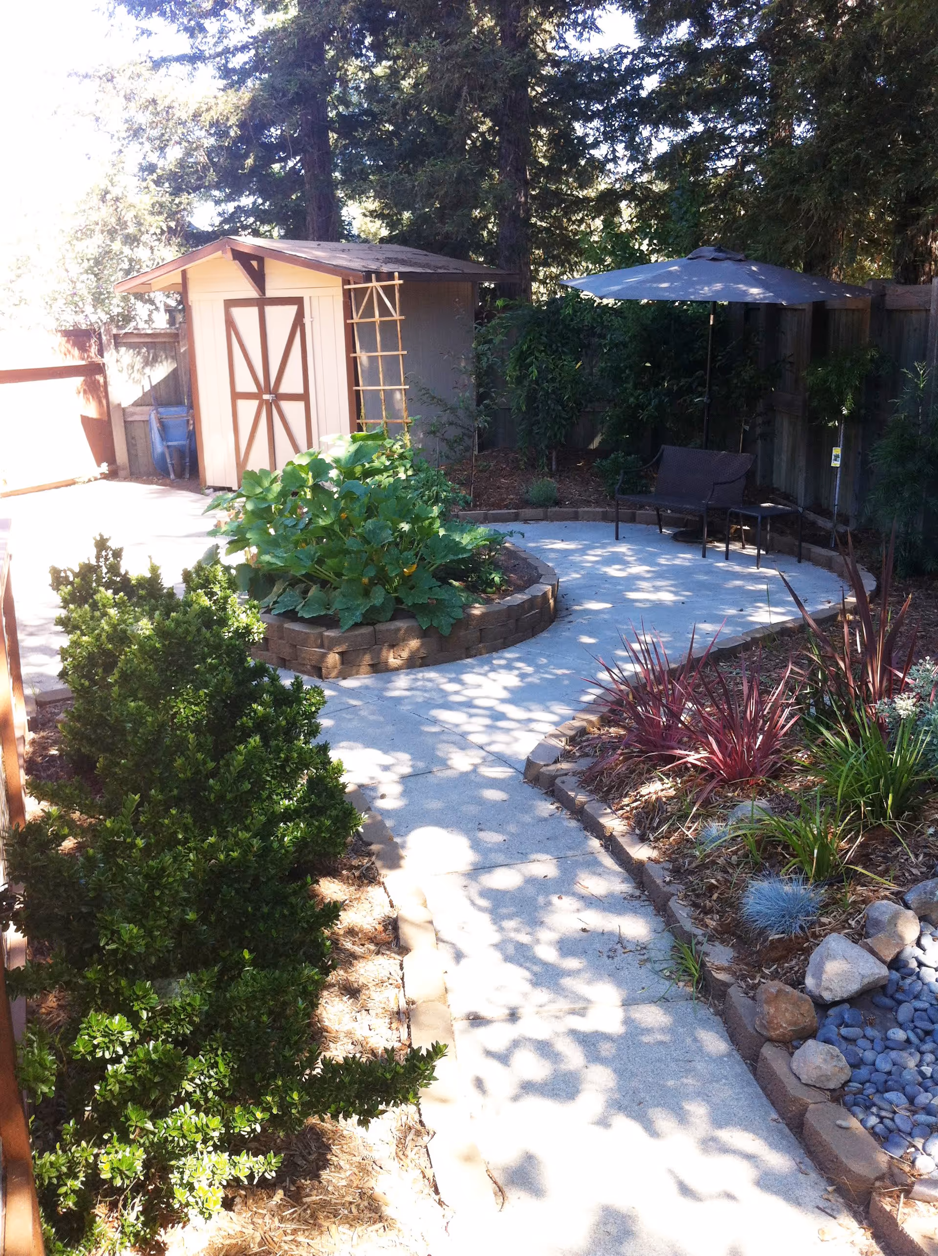 A peaceful outdoor garden area with a concrete pathway leading to a small patio. The patio has a bench with a large umbrella for shade. There is a small shed with double doors and a trellis on the side. The garden is surrounded by various plants, bushes, and trees, with some rocks and mulch bordering the pathway.