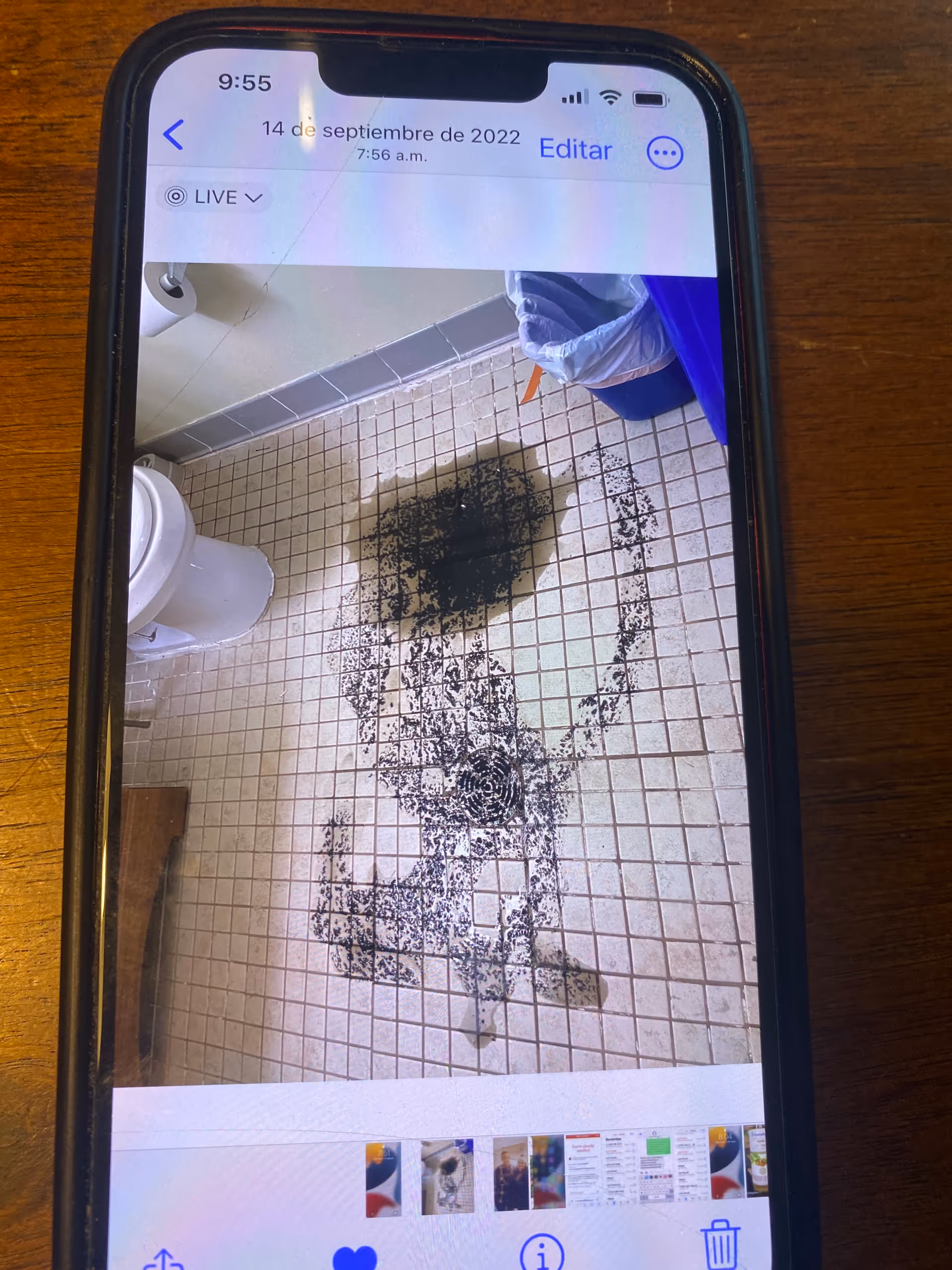 A tiled bathroom floor shows a dark stain near a drain beside a toilet.
