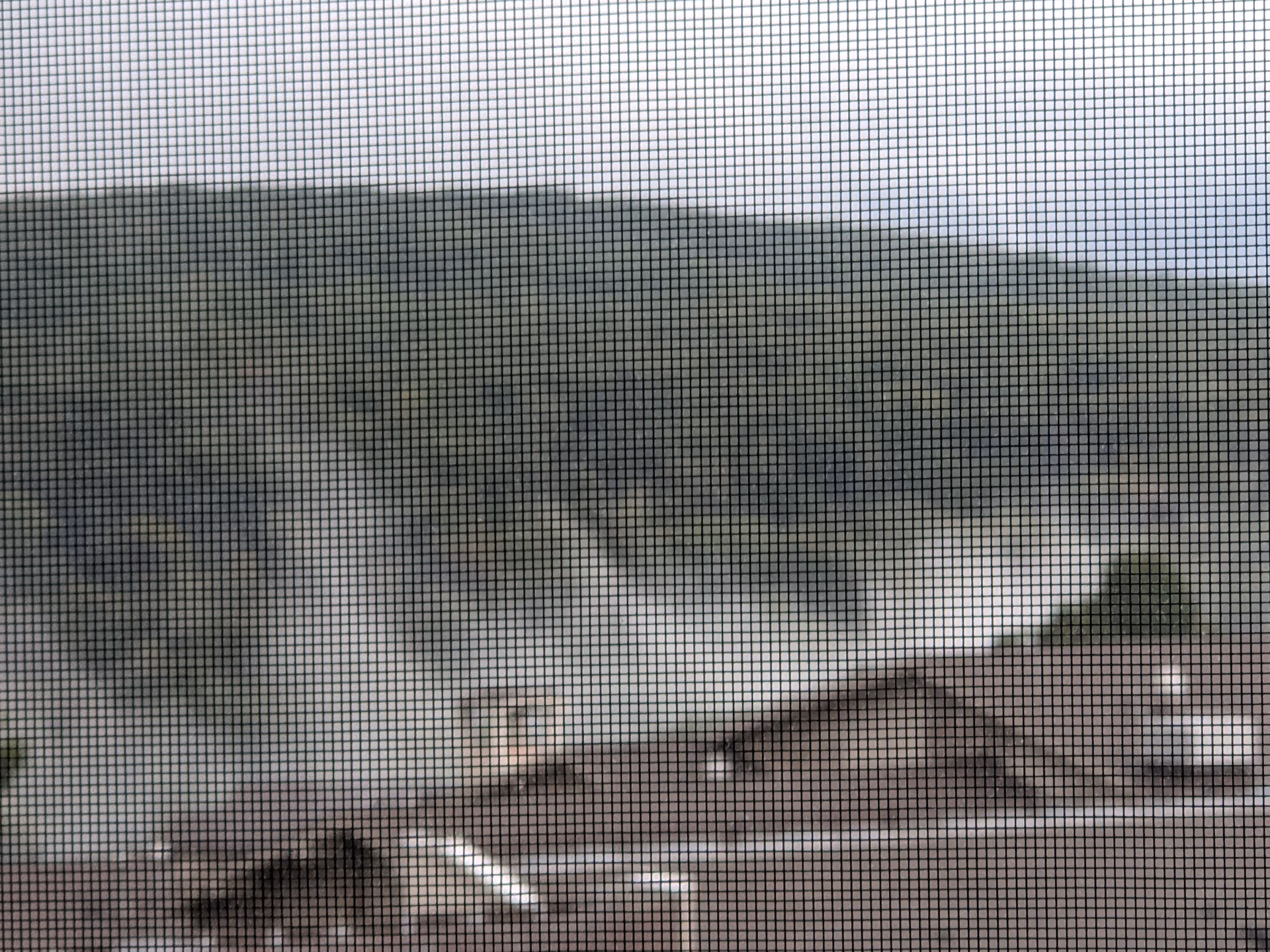 Blurred view of hillside and rooftops through a window screen mesh.