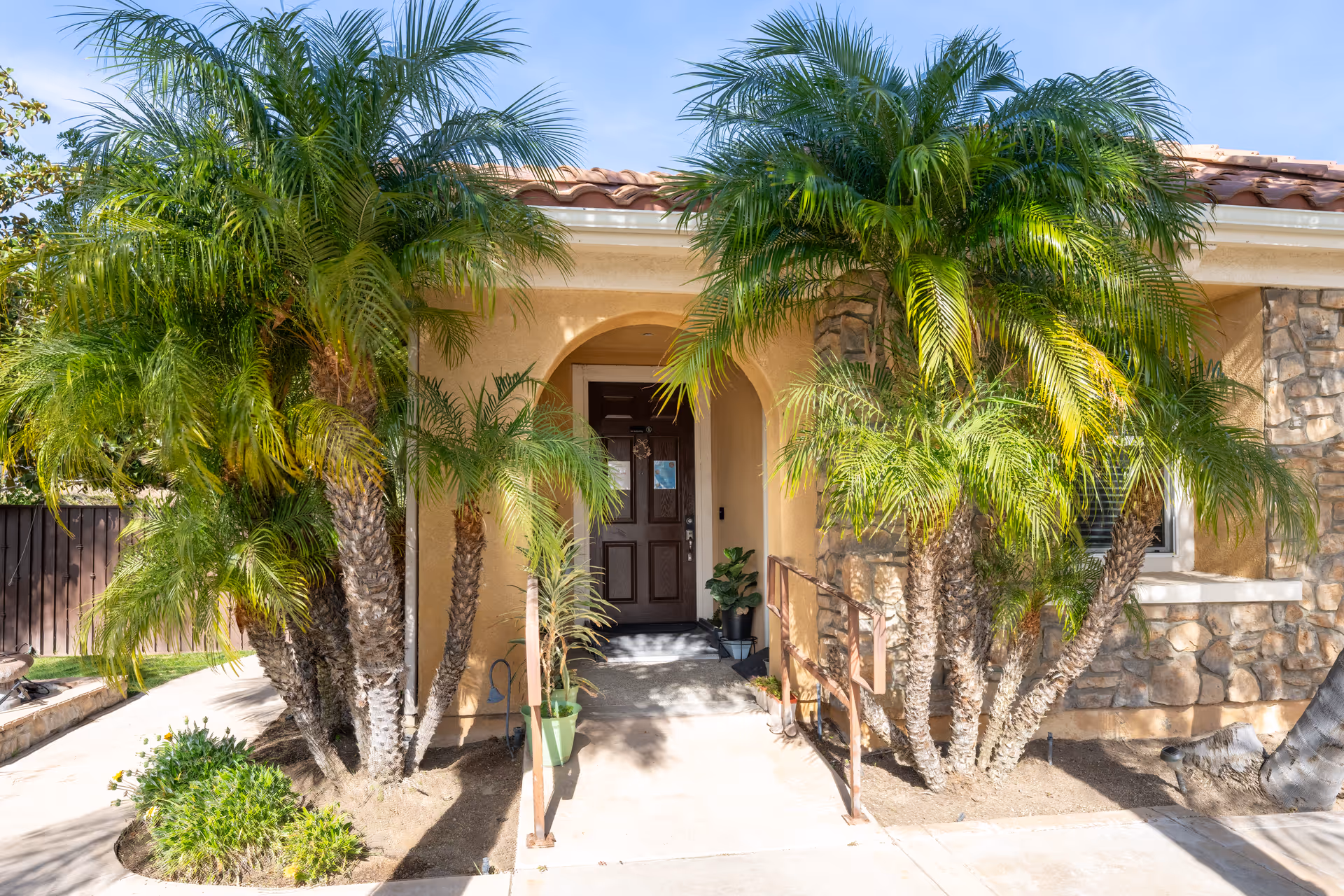 Entrance to a tan stucco building framed by palm trees and a small ramp.