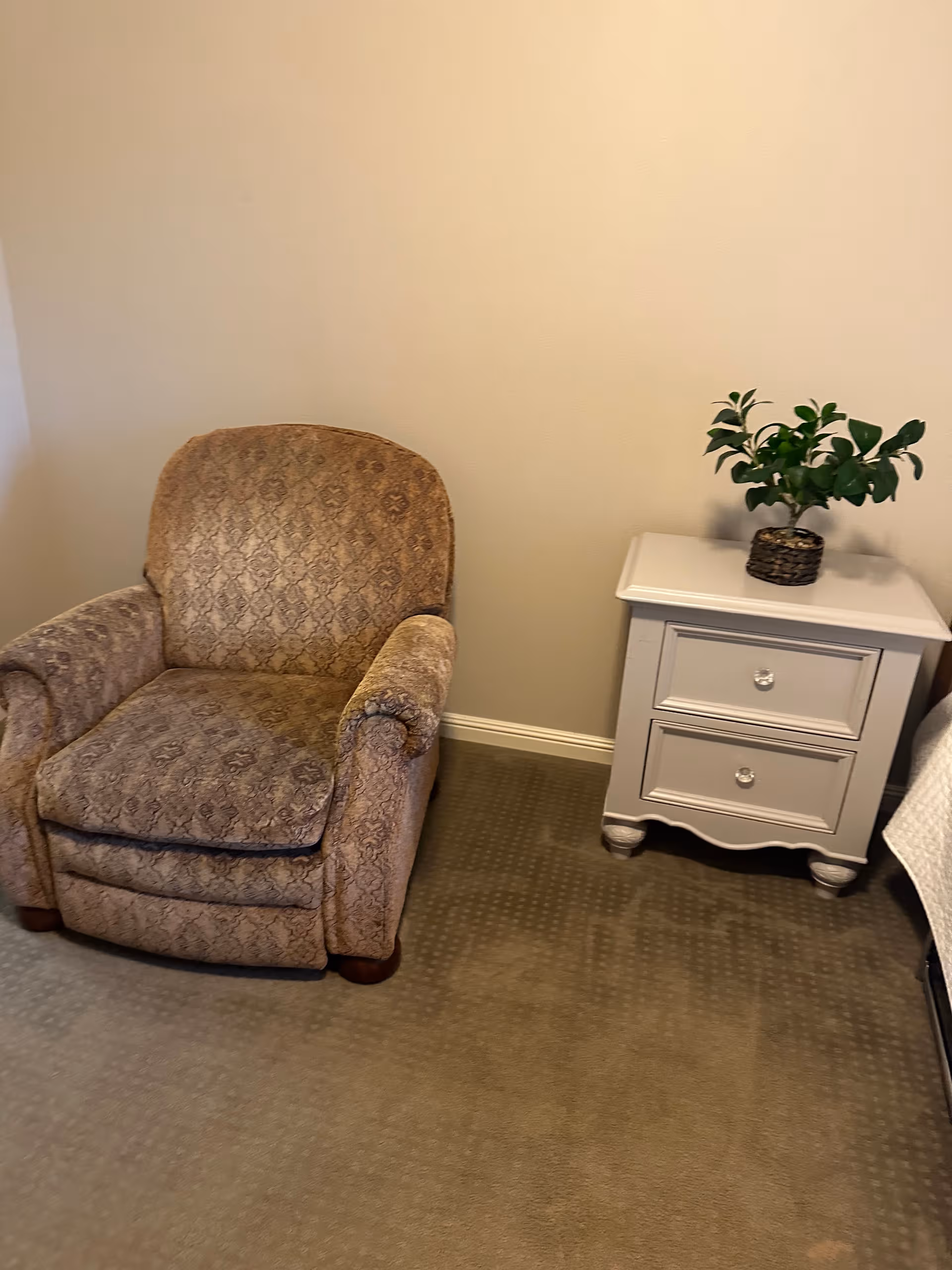 Cozy bedroom corner with patterned armchair and white nightstand with potted plant.
