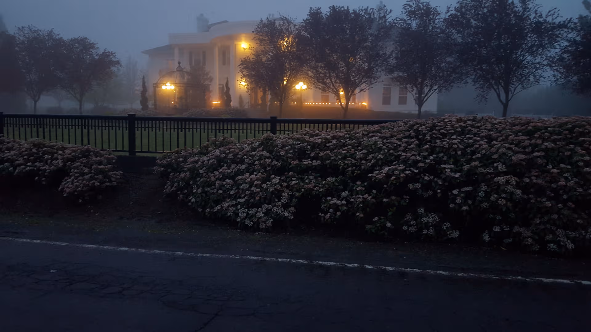 A manor-style building lit at dusk behind a fence and blooming hedges.