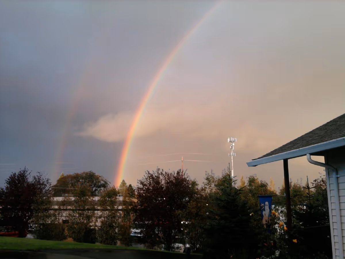 Double rainbow arches over trees beside a building at Meadows Courtyard.