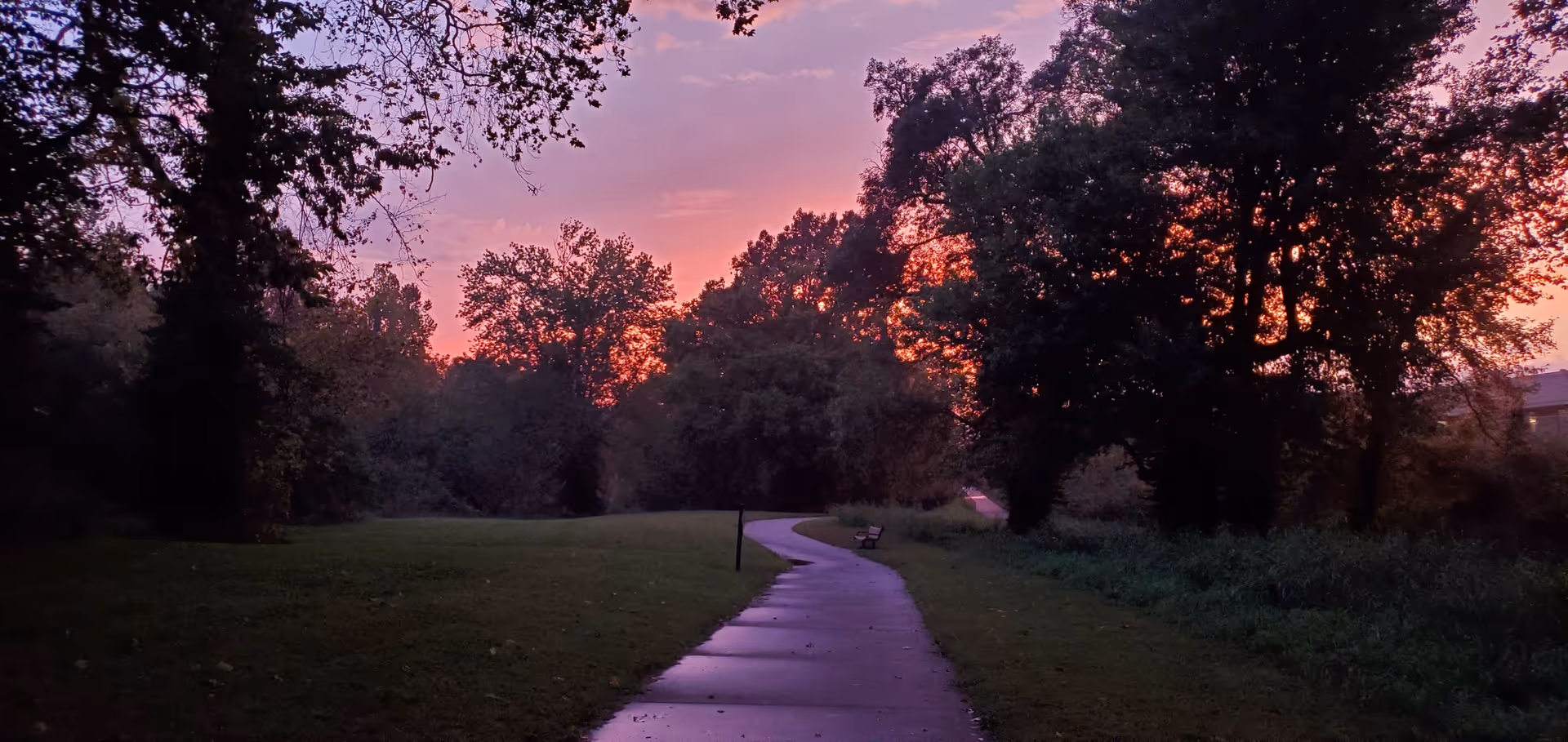Sunset over a winding park path with trees and a bench along the walkway.