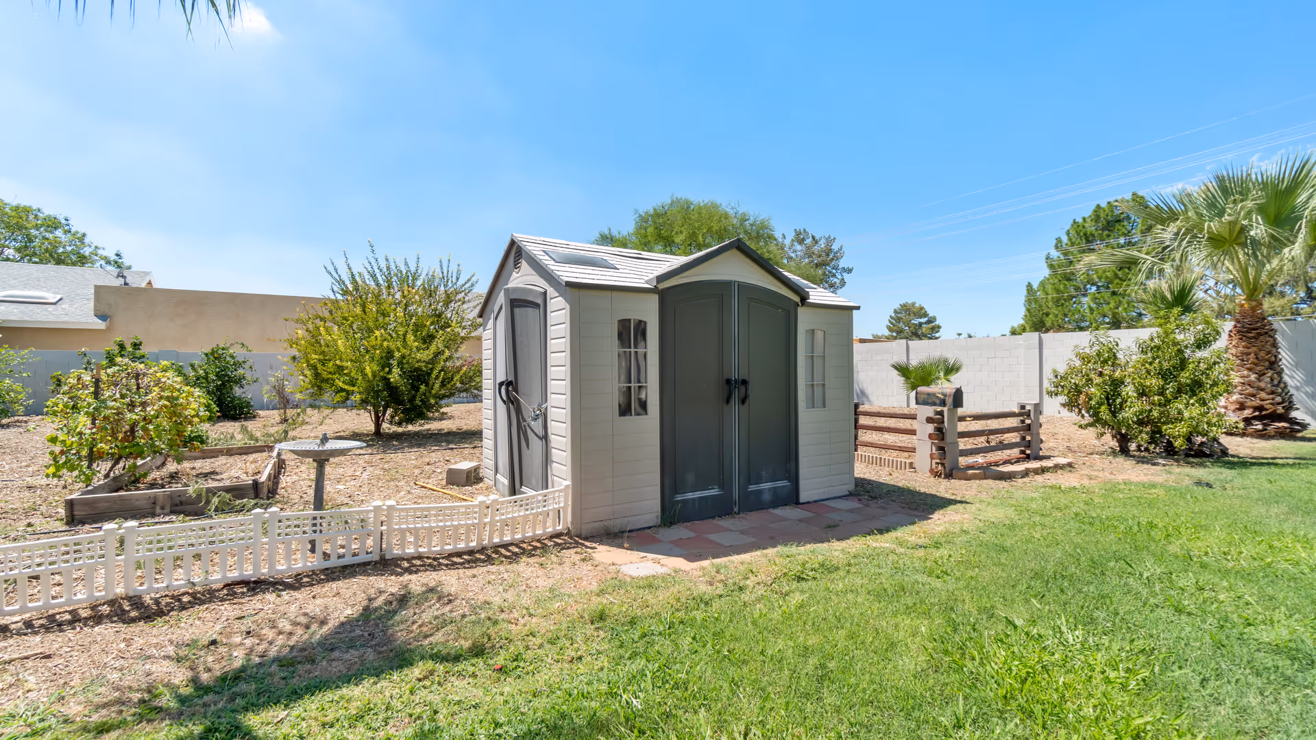 A small gray shed in a fenced backyard with green lawn and palm trees.