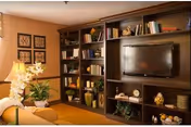 Interior living room with built-in shelves, TV, plants, and warm lighting.