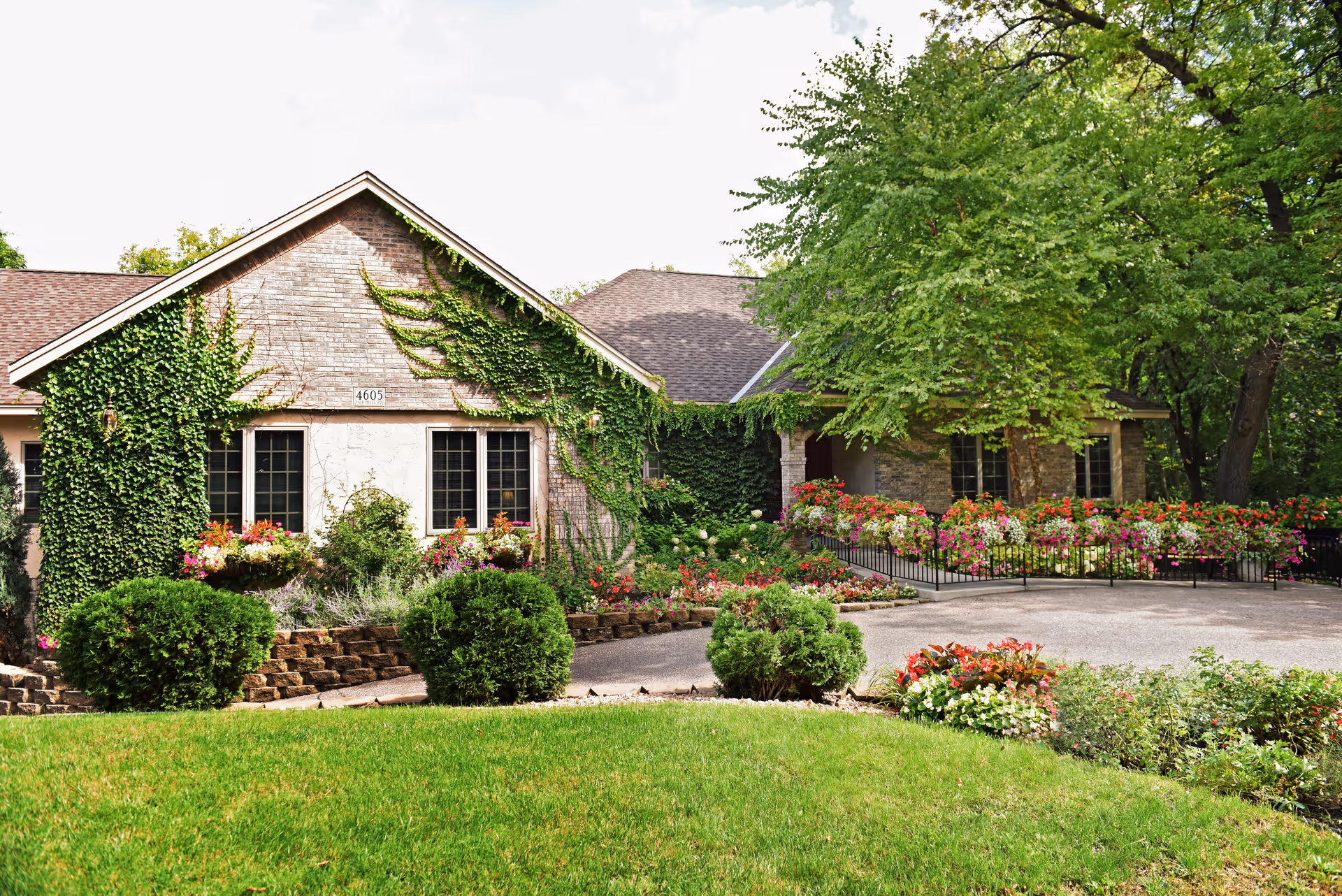 A single-story brick building with ivy-covered walls and a vibrant front garden.