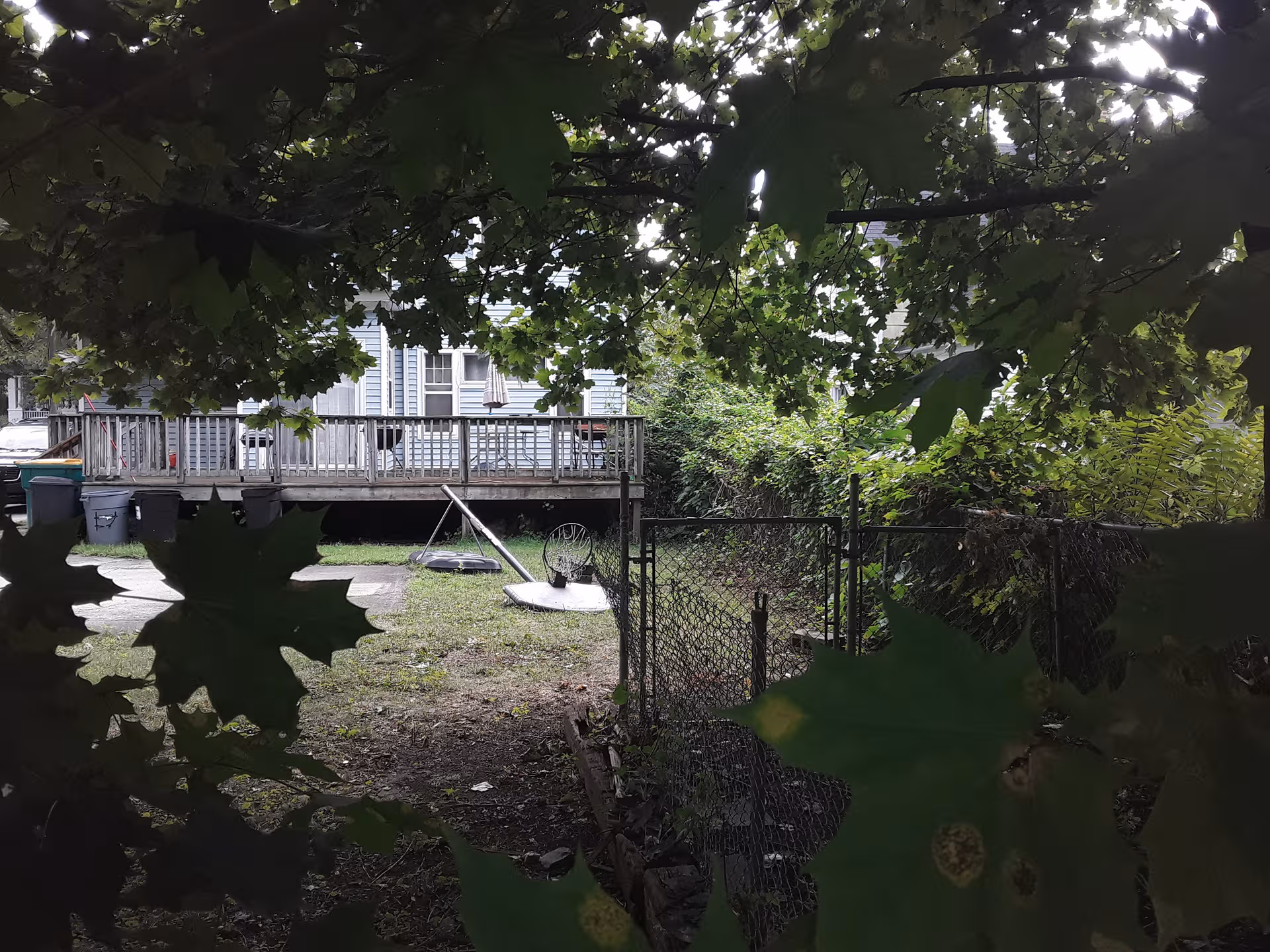 Backyard view of a wooden deck, chain-link fence, and leafy overhang